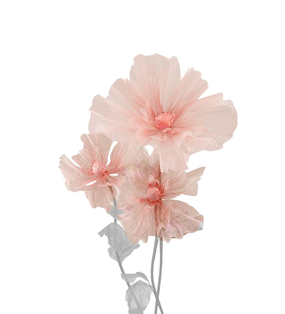 Blomma Lilly 3/S