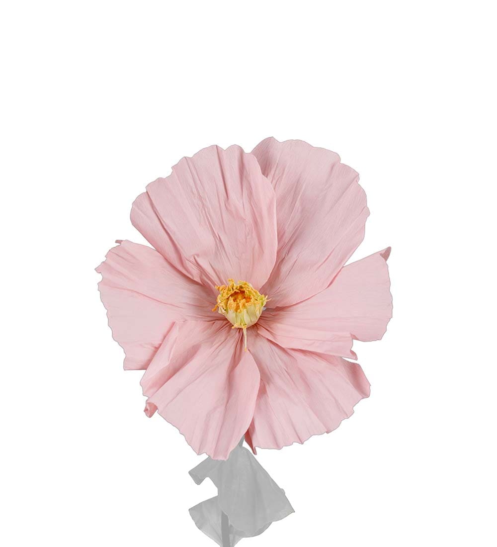 Blomma Lykke