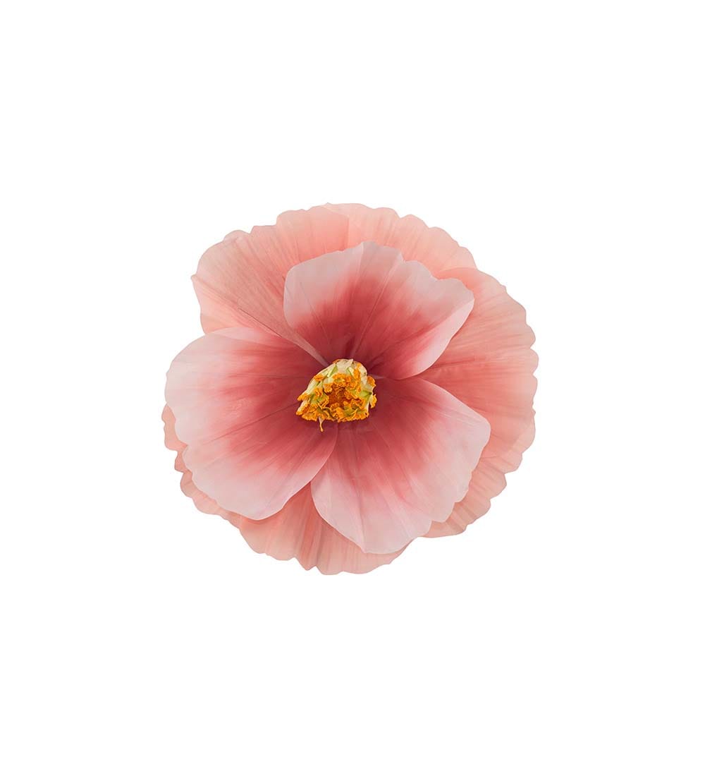 Blomma Signe vägg