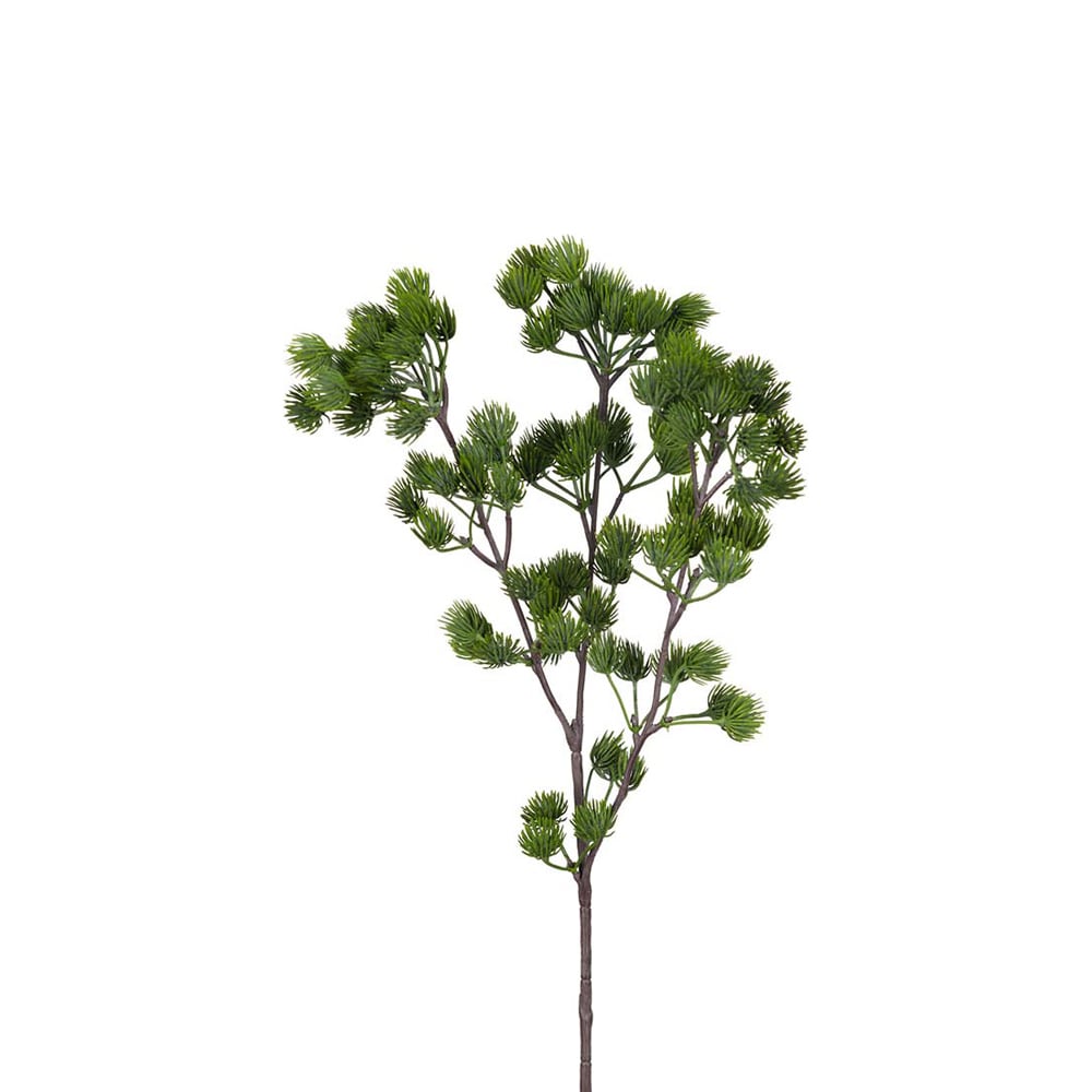 Lärkkvist