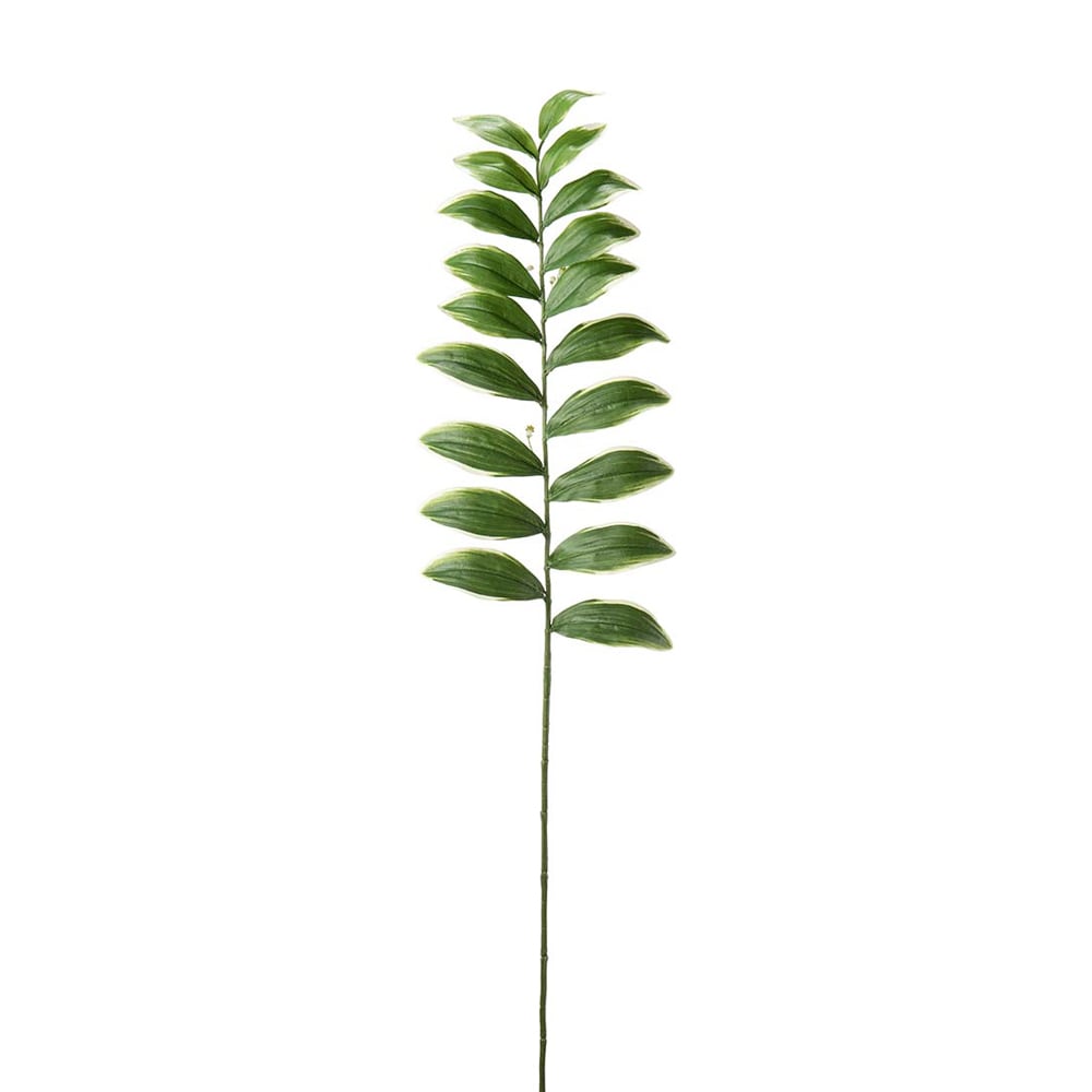 Blad