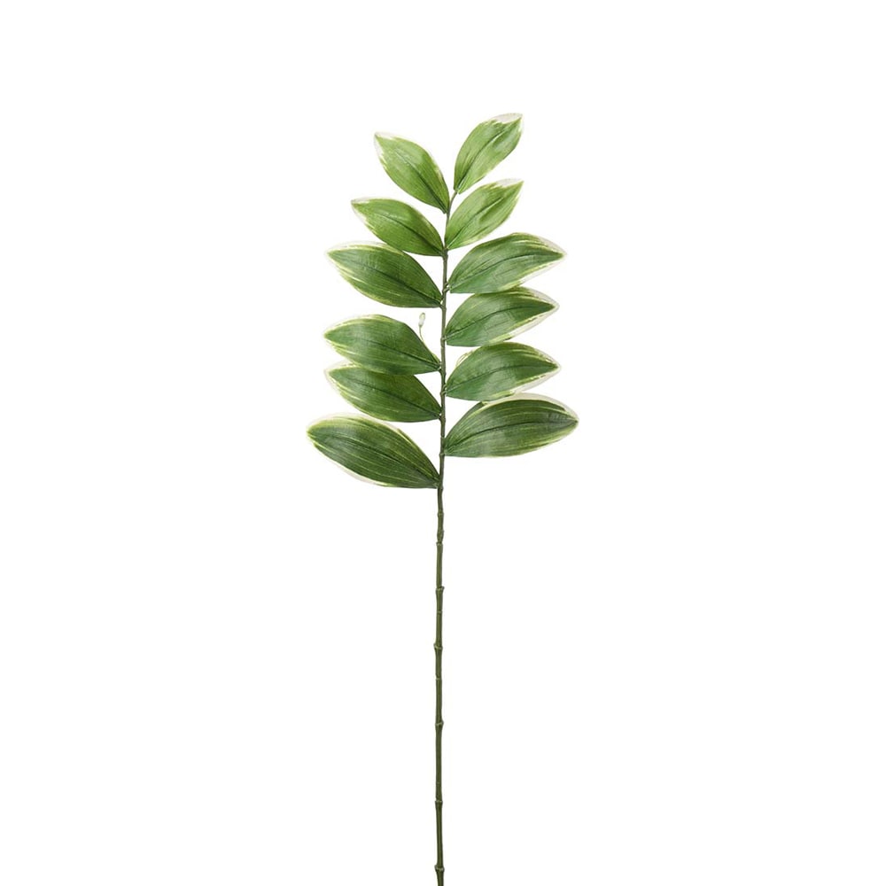Blad