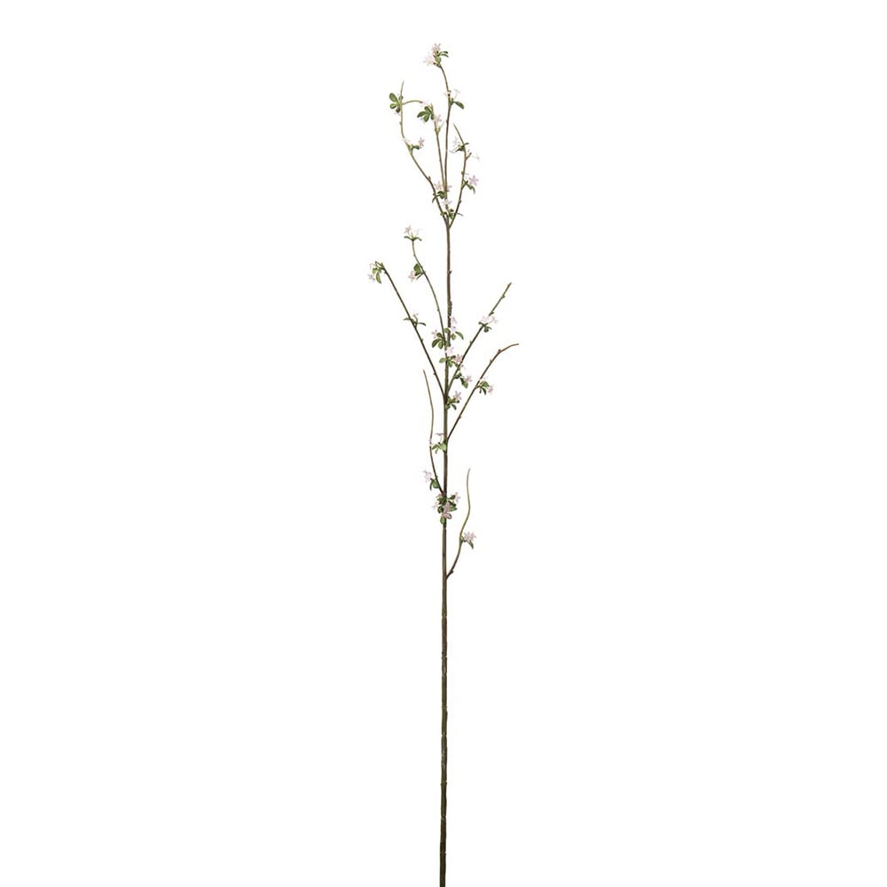 Blomkvist