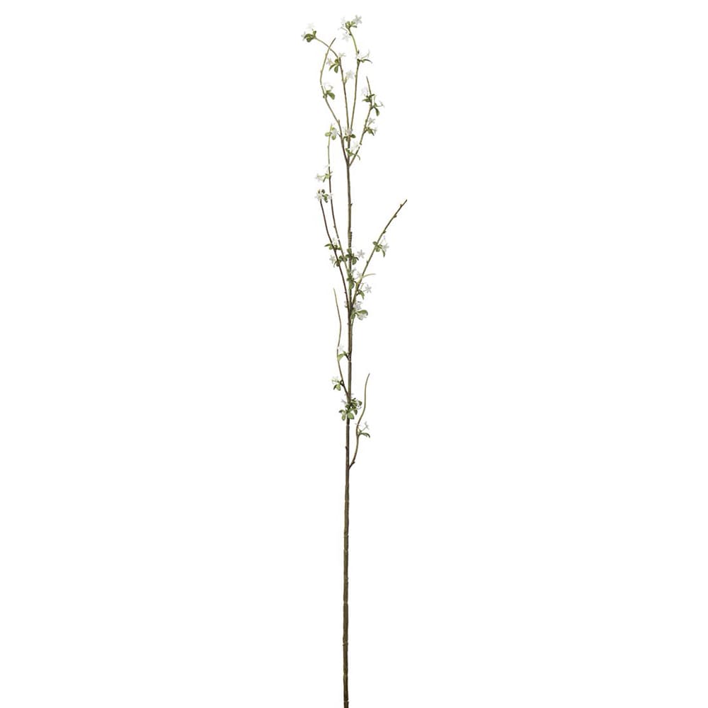 Blomkvist