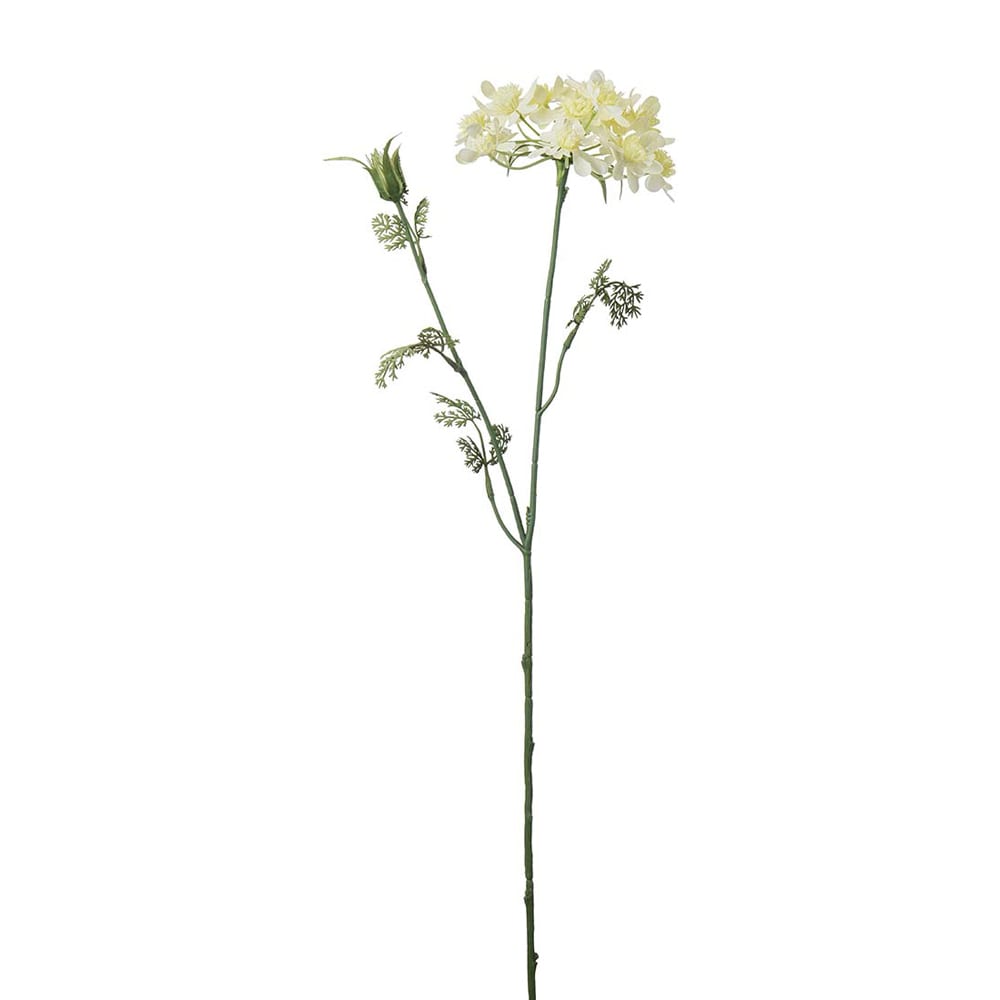 Blomsterkörvel