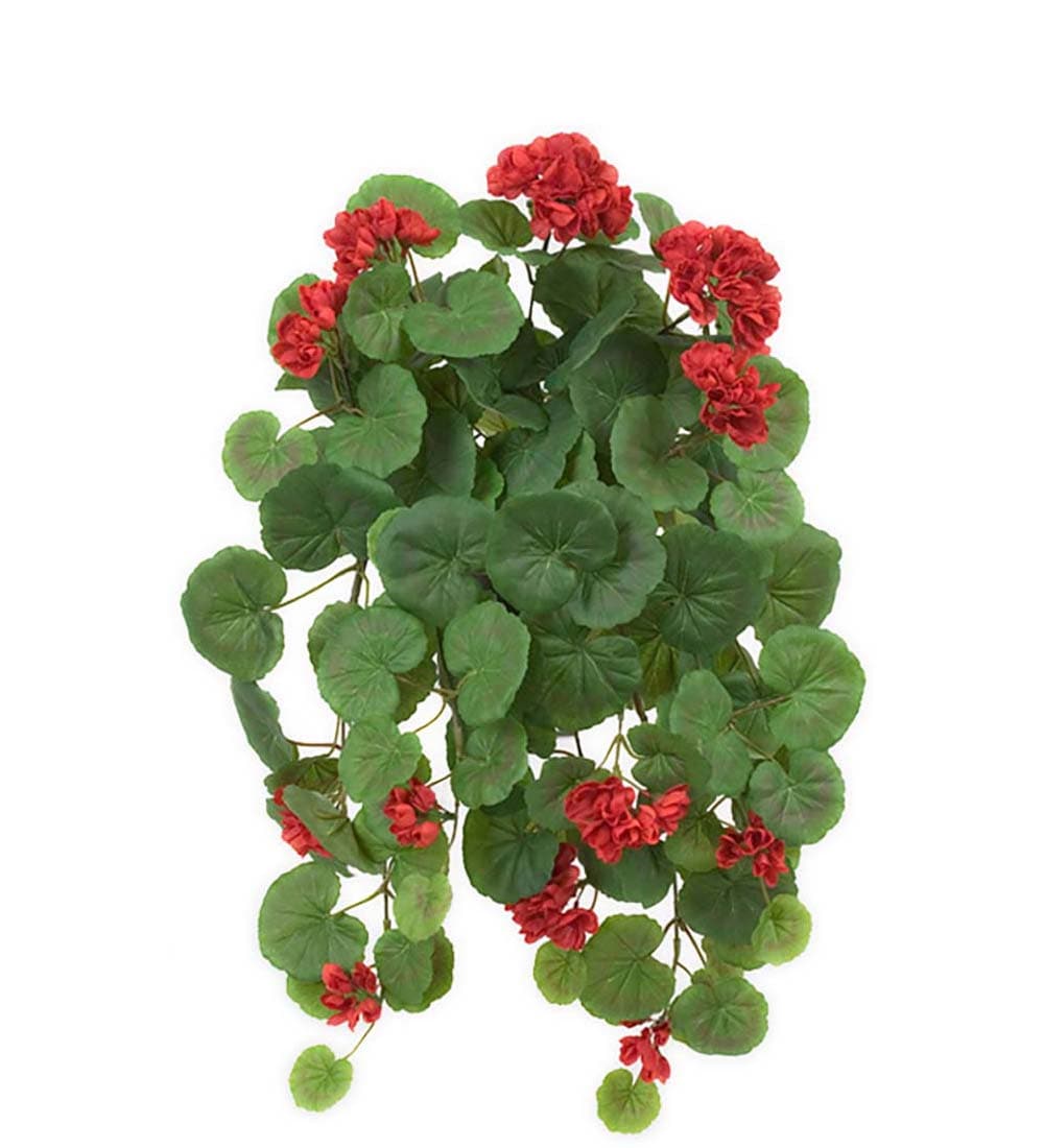Hängpelargon