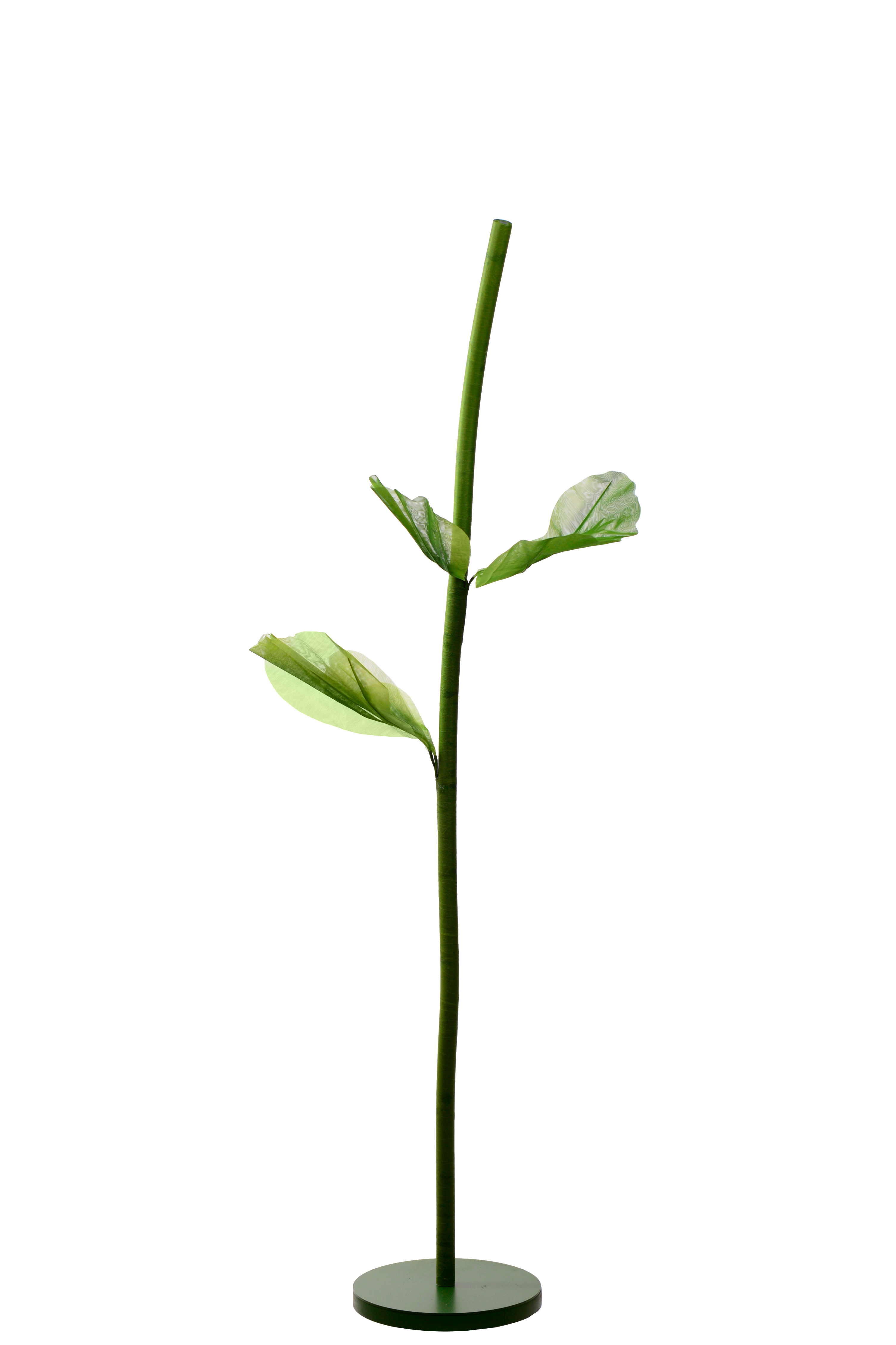 Stjälk