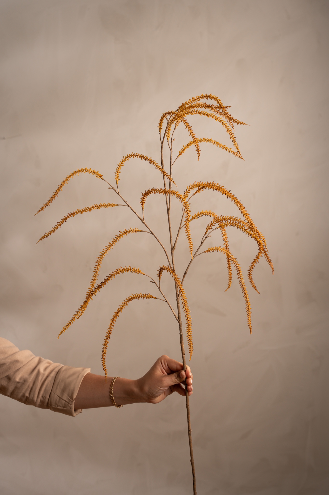 Amaranthus