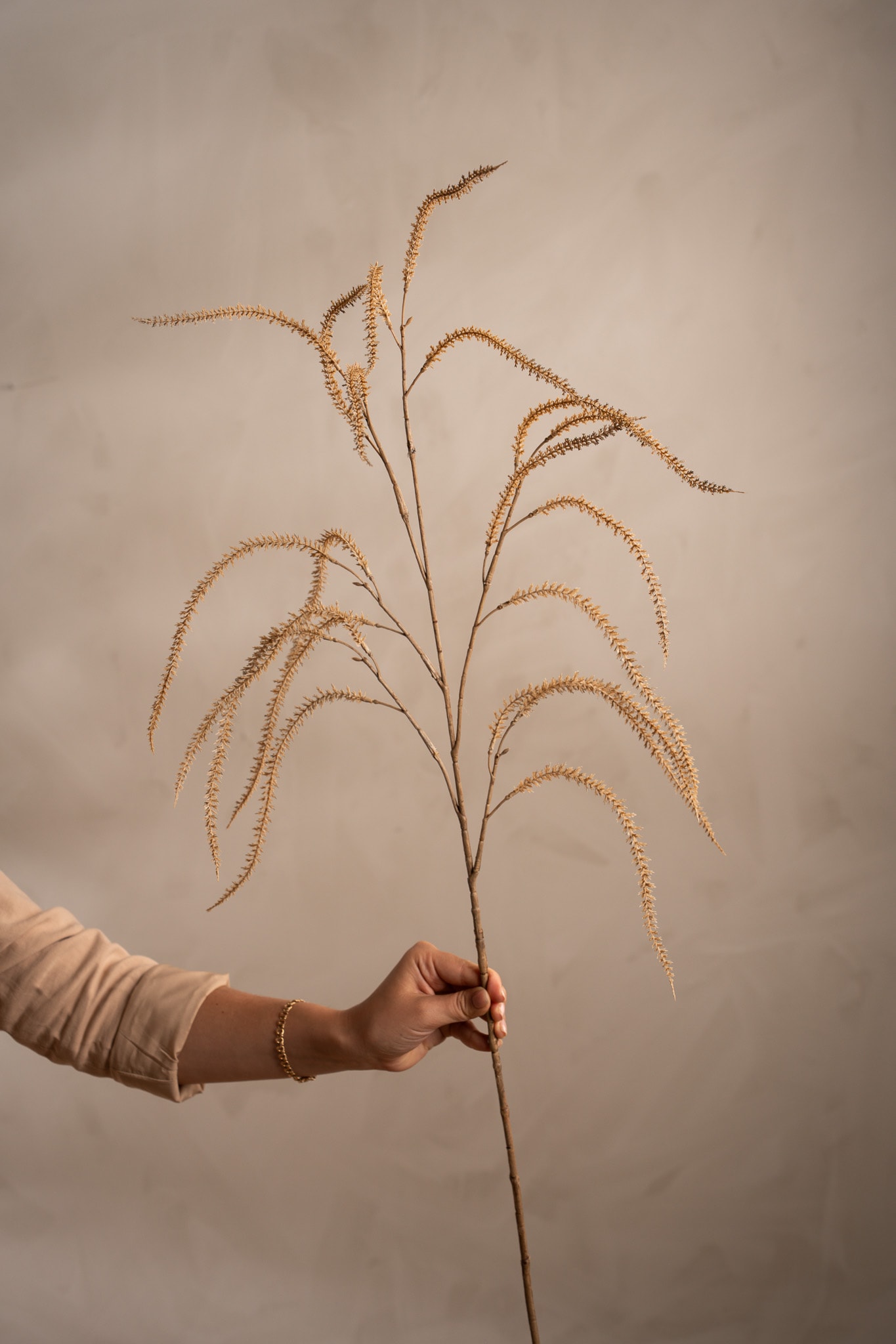 Amaranthus