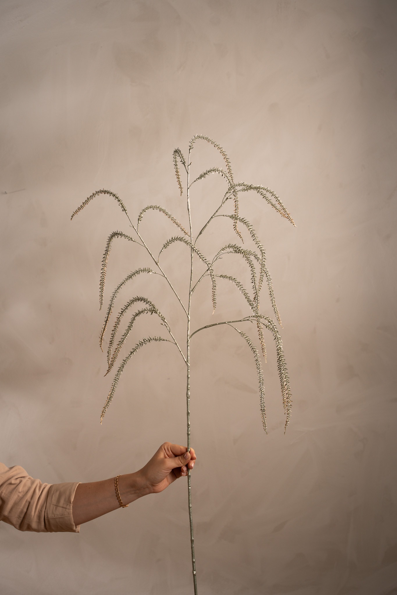 Amaranthus