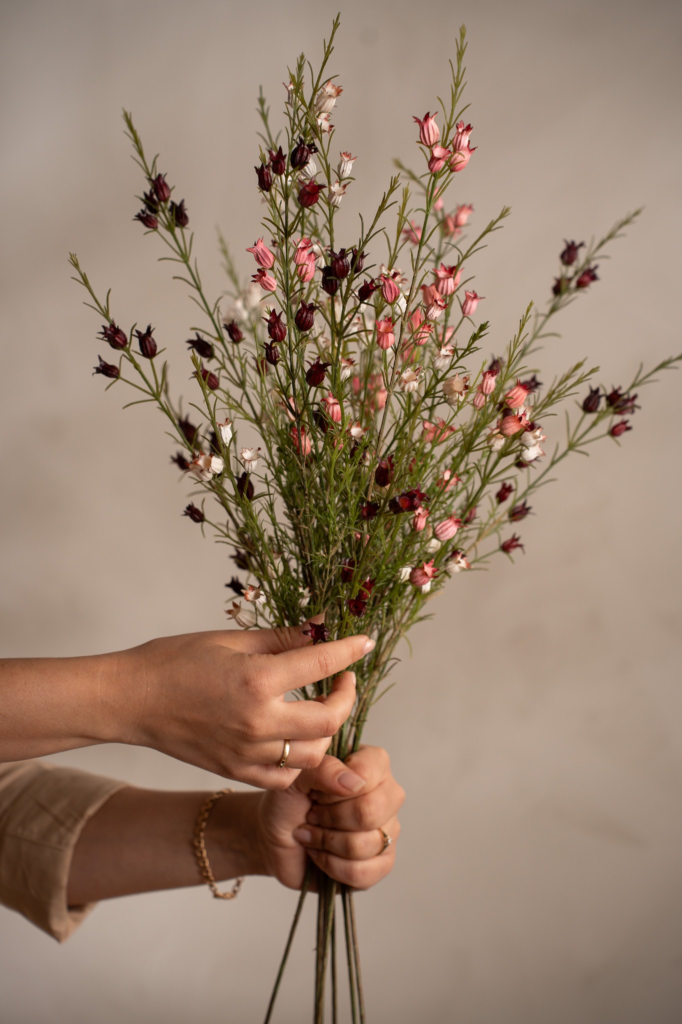 Calluna