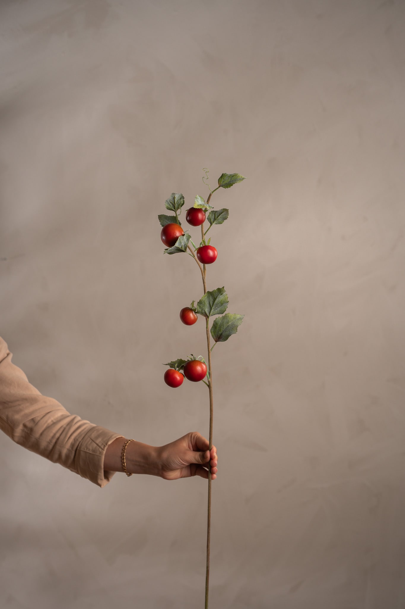 Tomatkvist