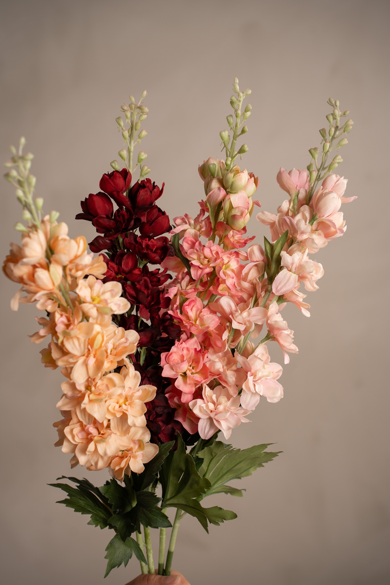 Delphinium