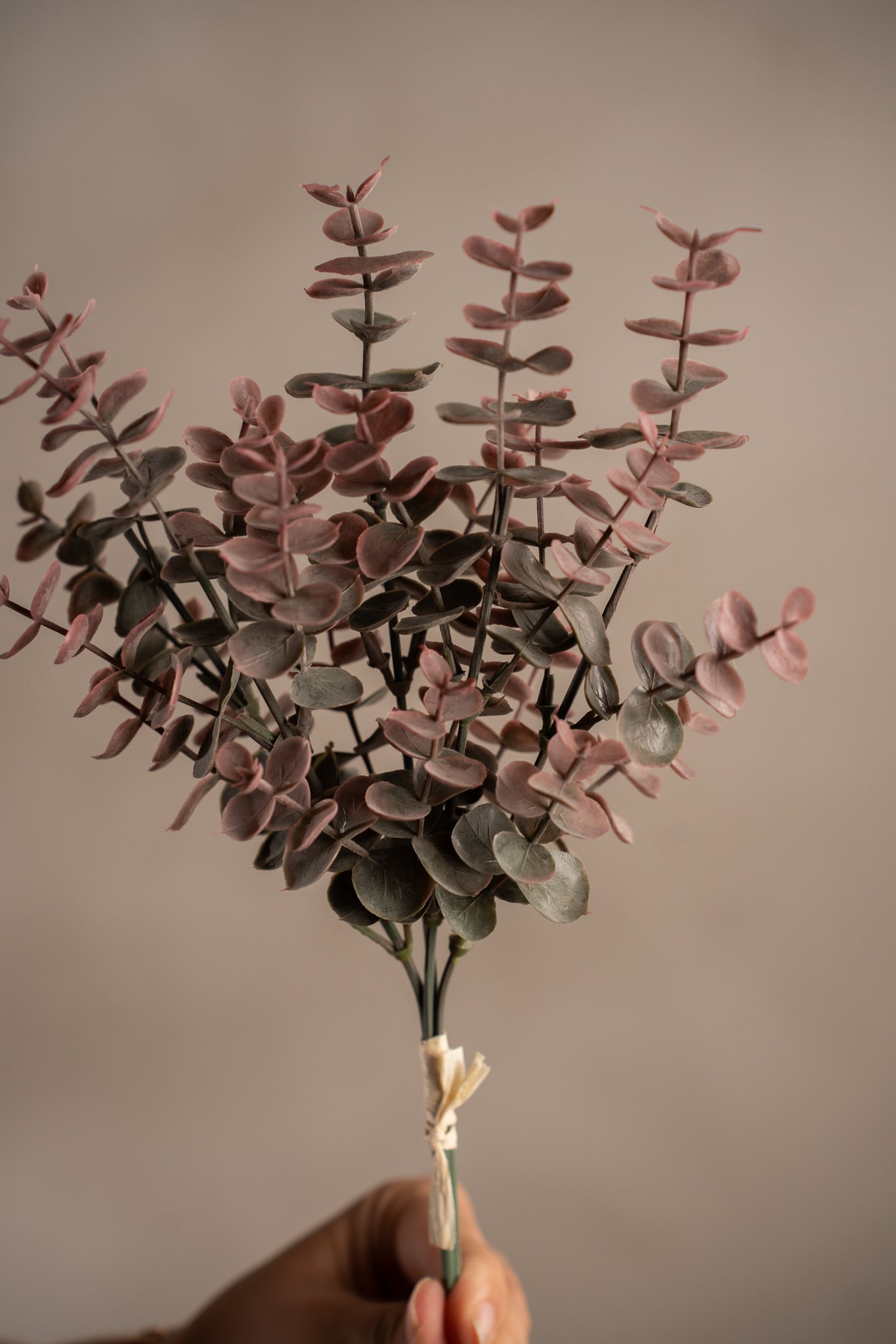 Eucalyptus bunt