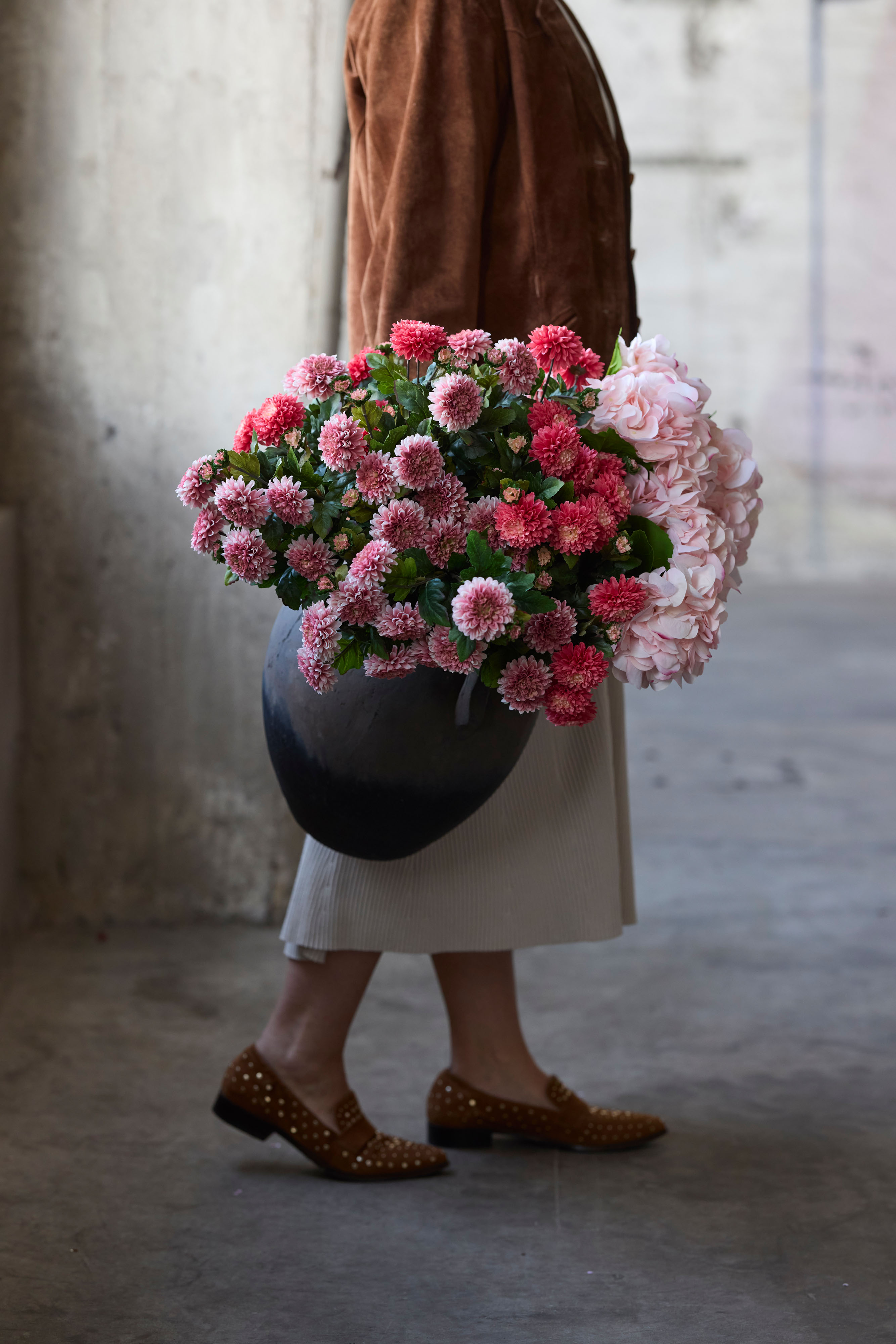 Chrysanthemum