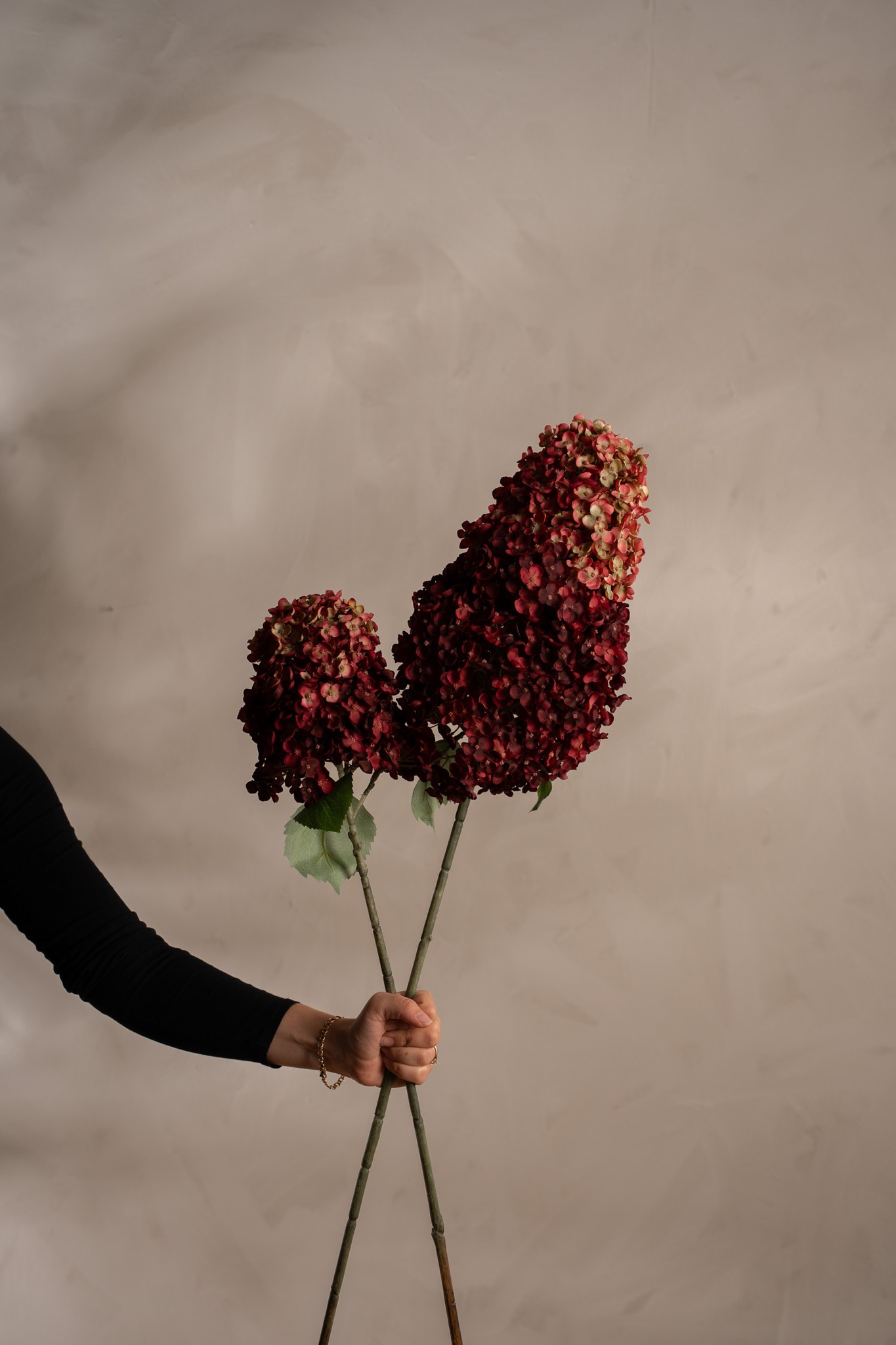 Syrénhortensia