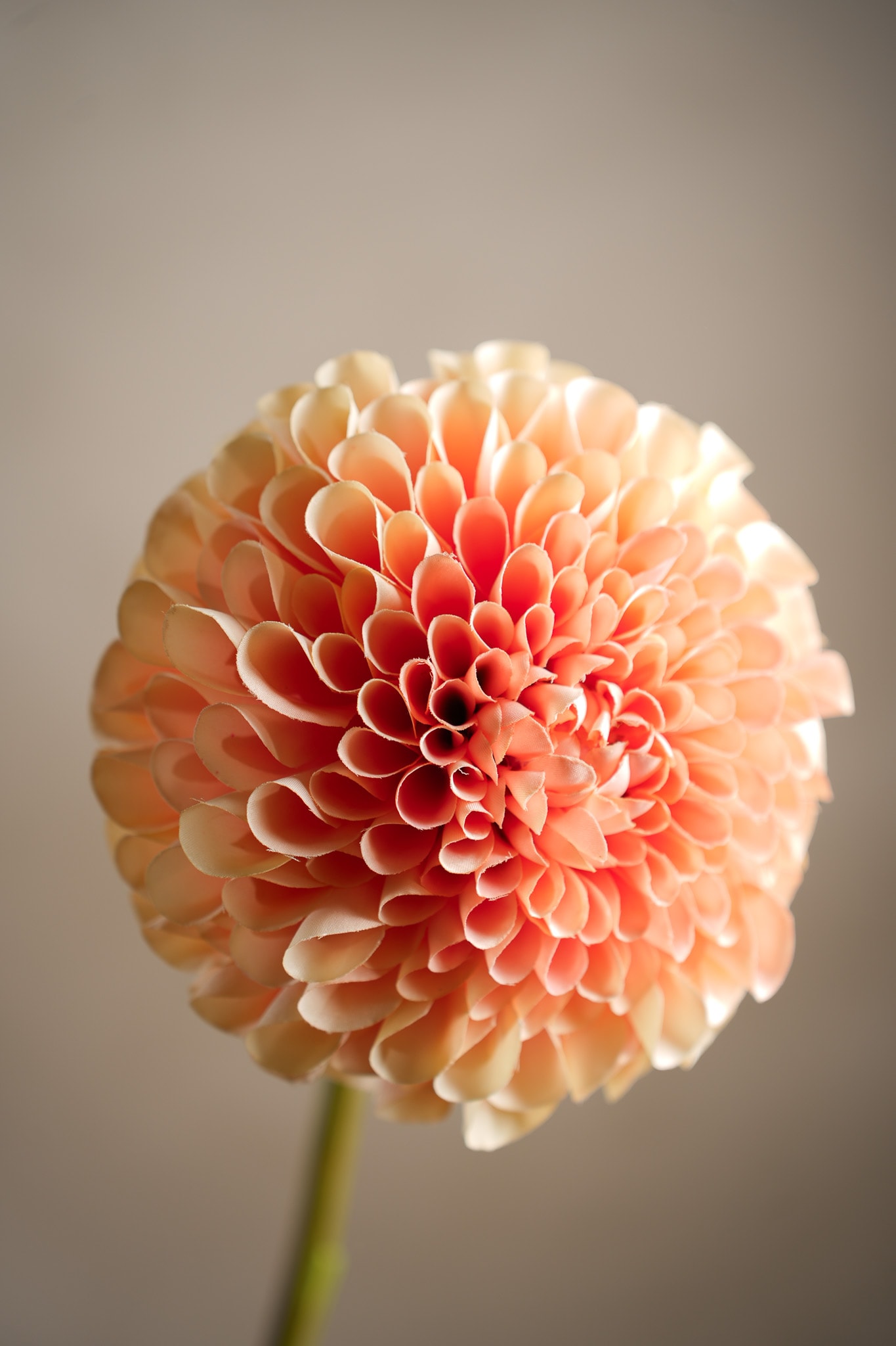 Konstgjord persikofärgad Dahlia 75 cm