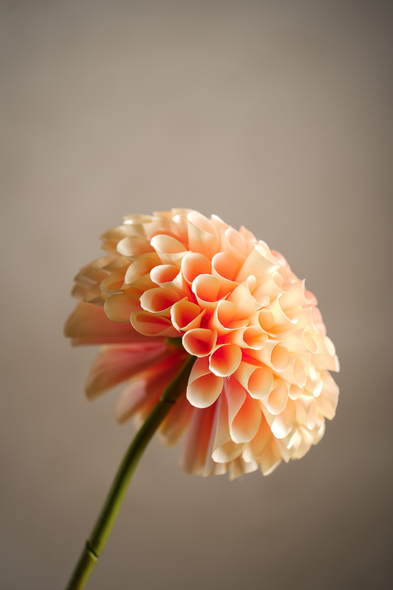 Konstgjord persikofärgad Dahlia 75 cm