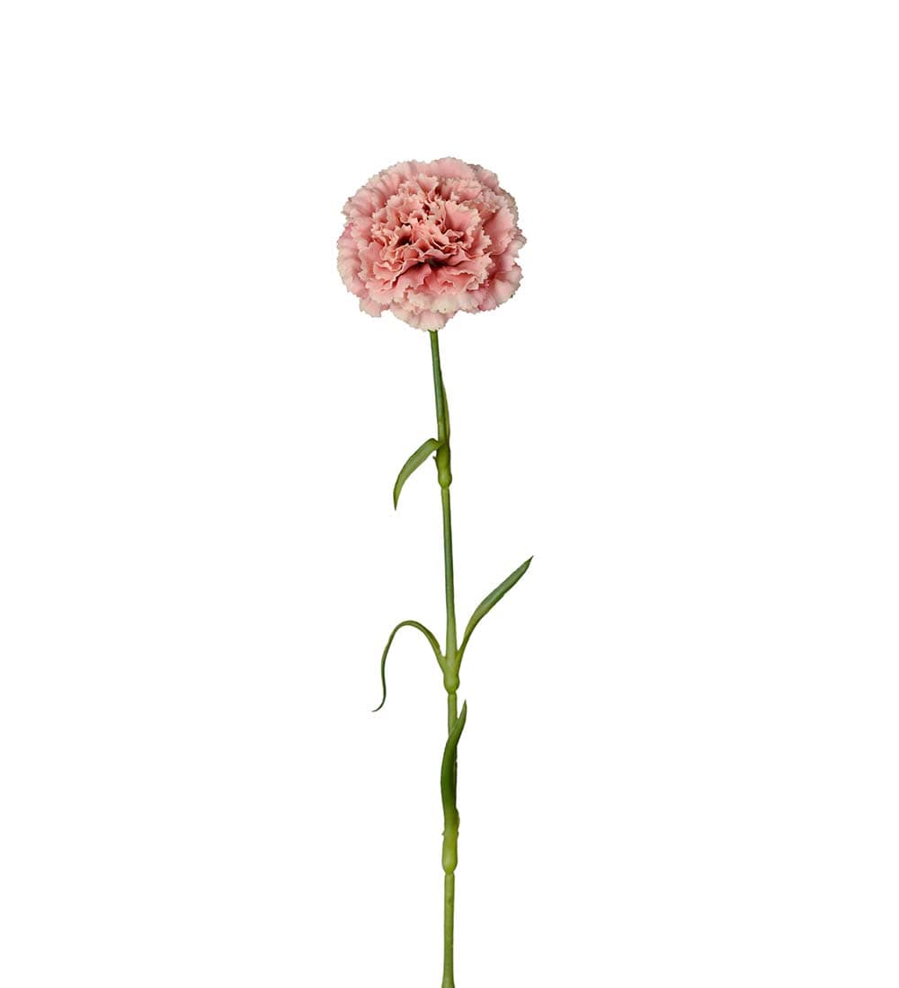 Konstgjord rosa Nejlika 44cm