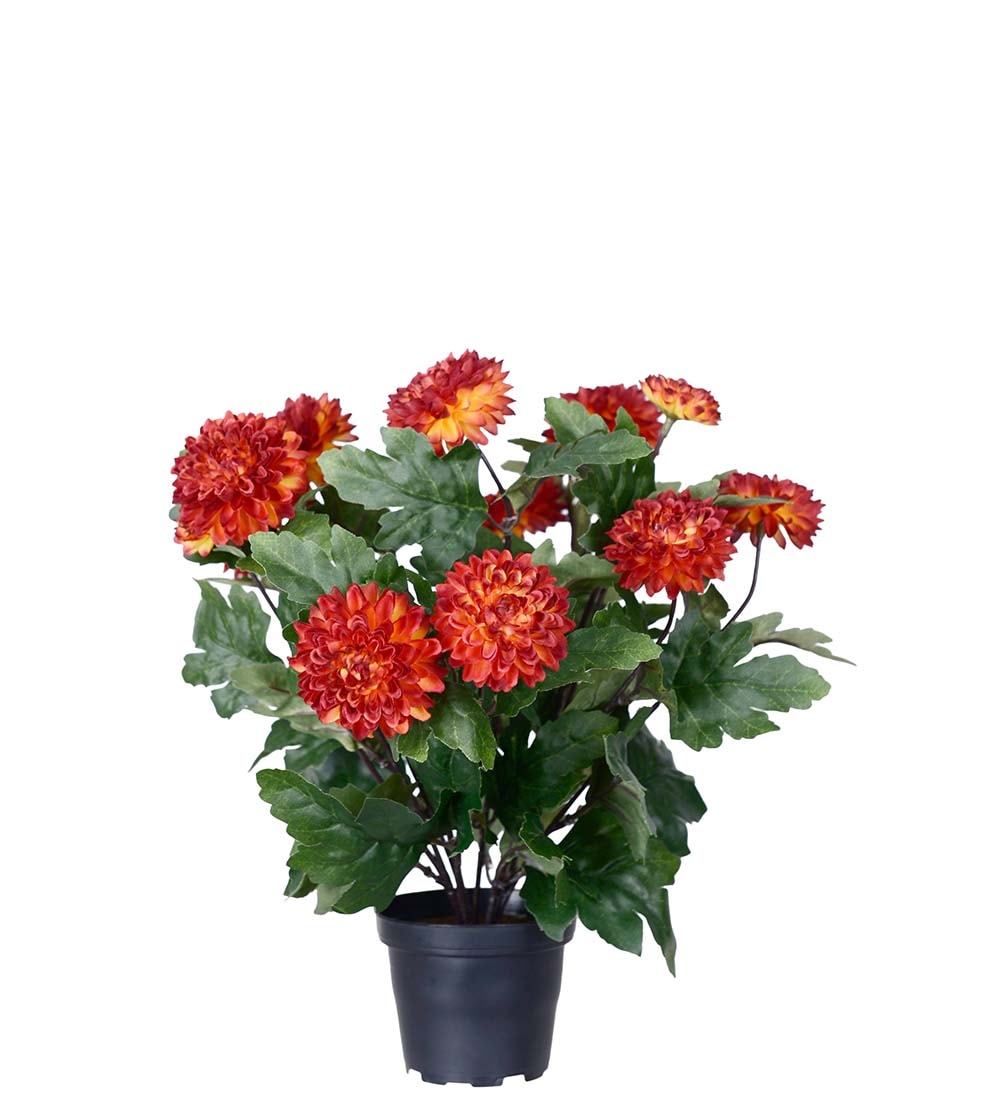 Konstgjord rost Chrysanthemum 30cm