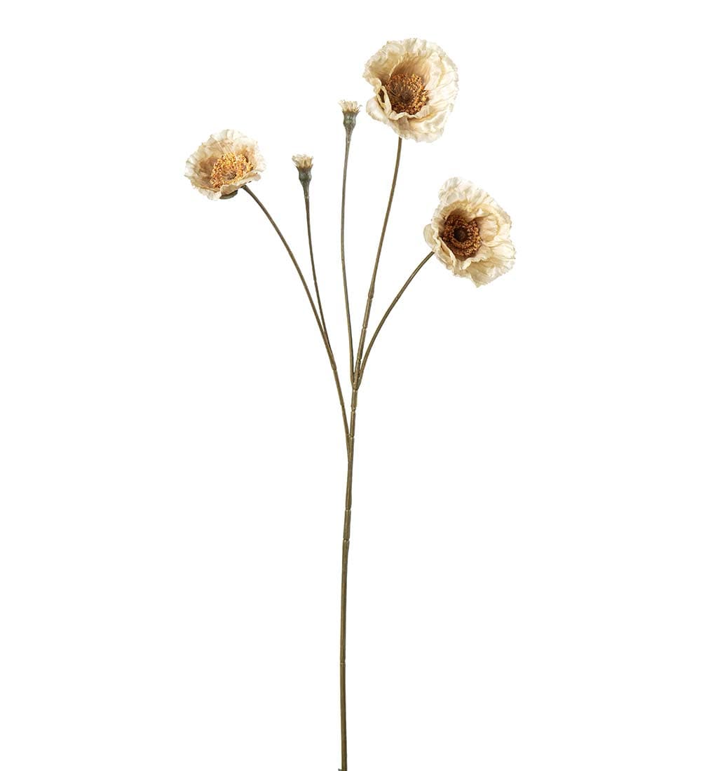 Konstgjord cream Vallmo 67cm