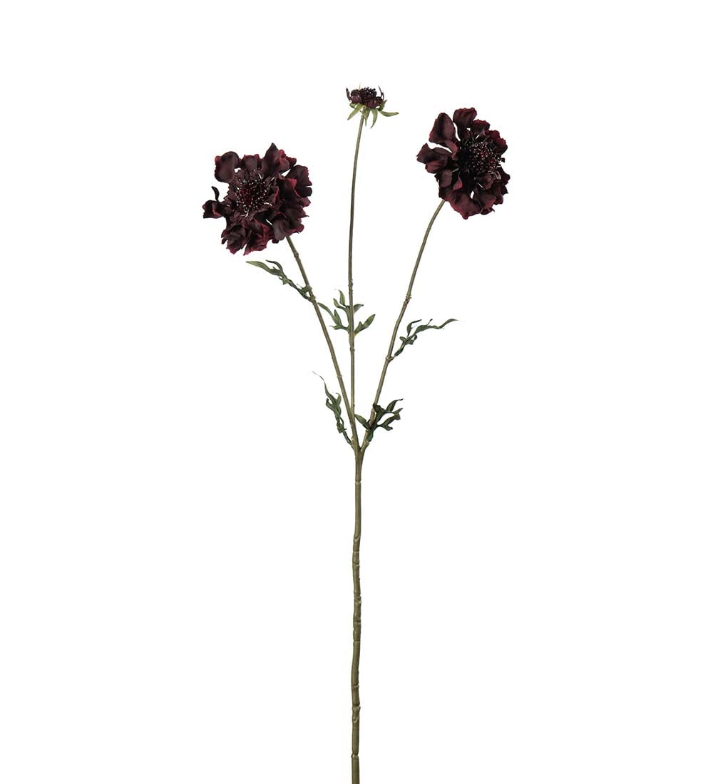 Konstgjord burgundy Scabiosa 65cm