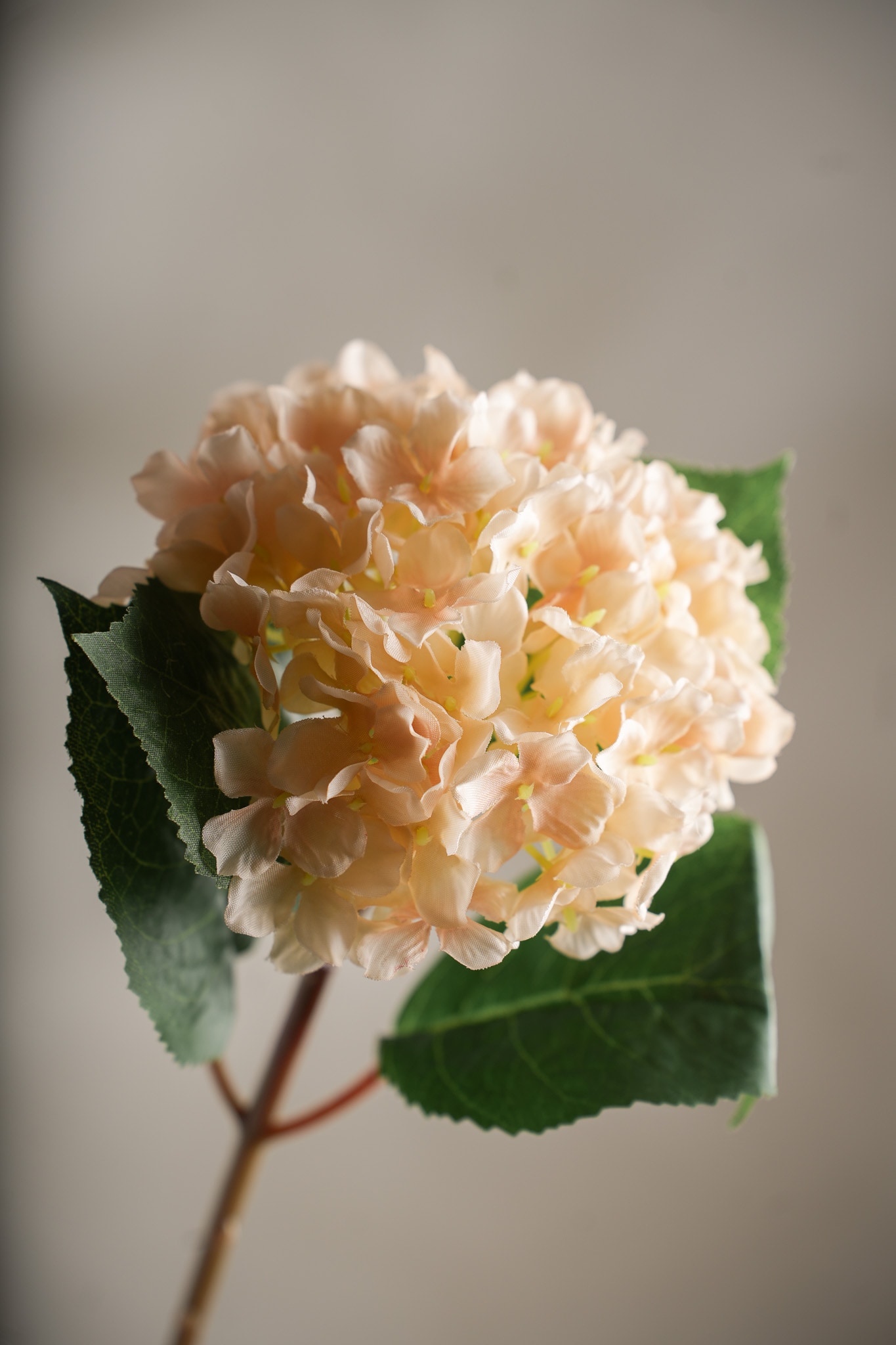 Konstgjord cremefärgad Hortensia 40 cm