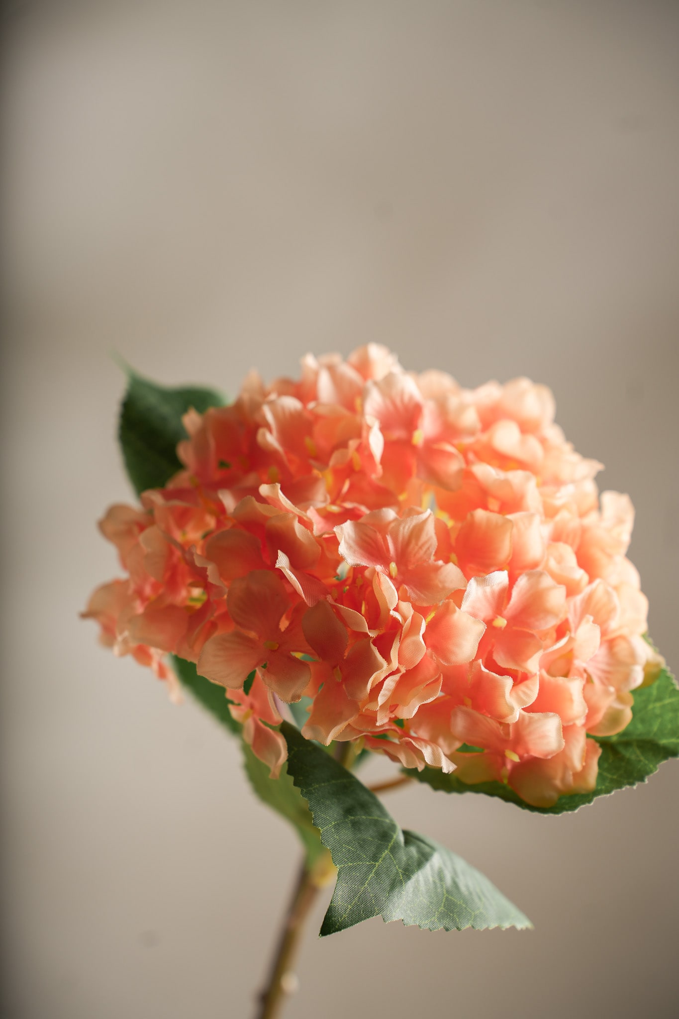 Konstgjord persikofärgad Hortensia 40 cm