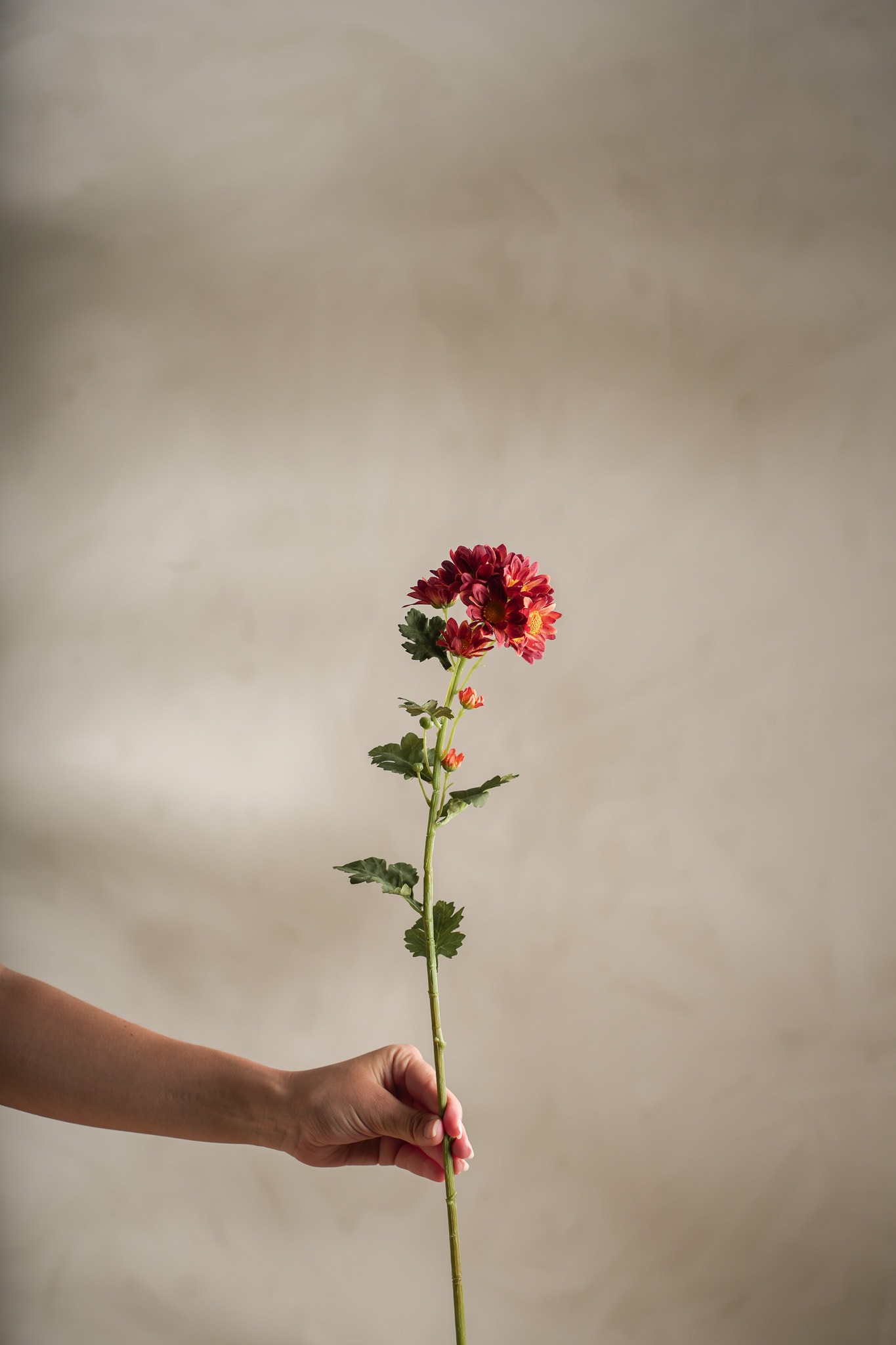 Konstgjord rost Chrysanthemum 58cm