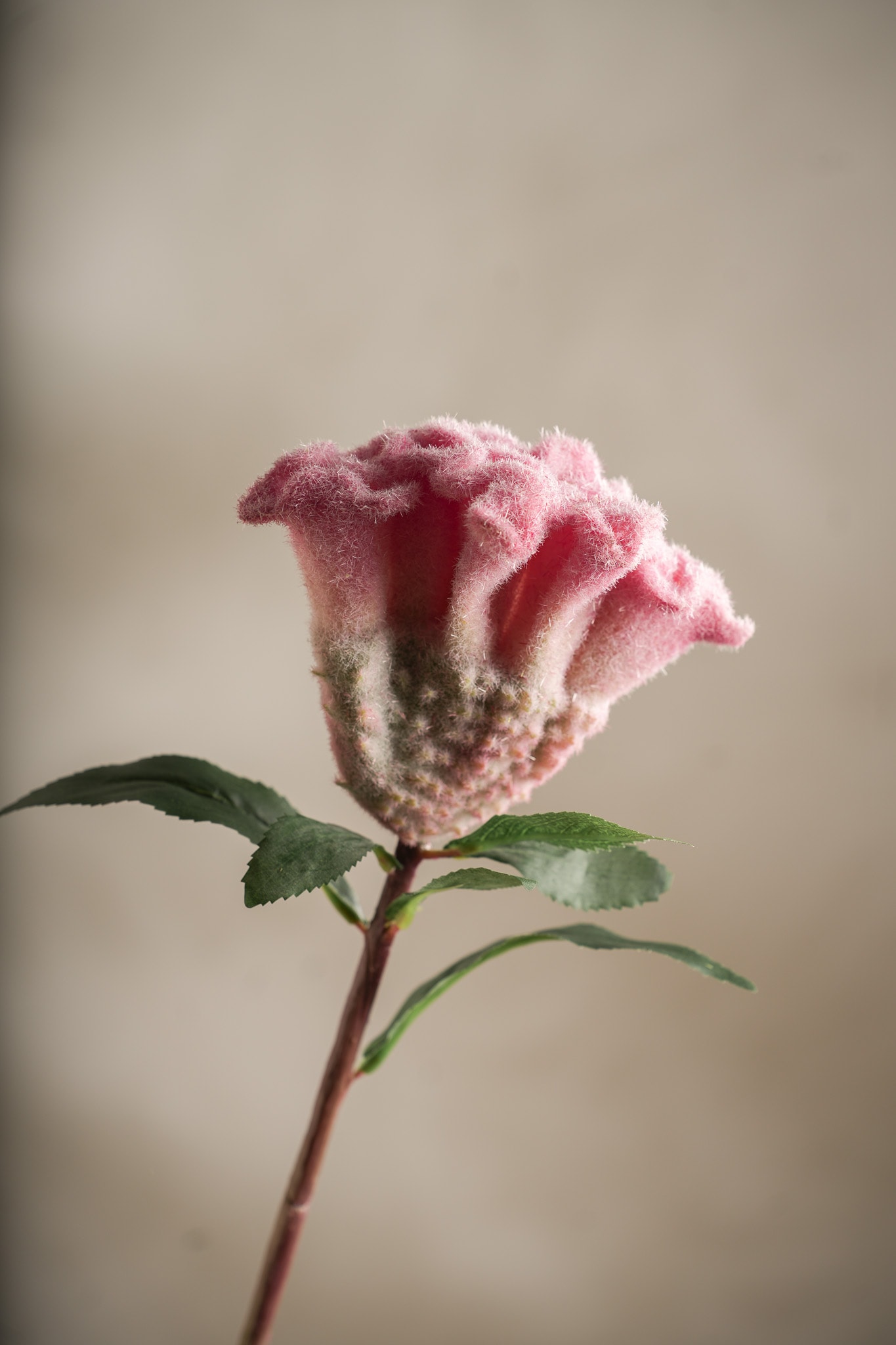 Konstgjord rosa Celosia 67cm