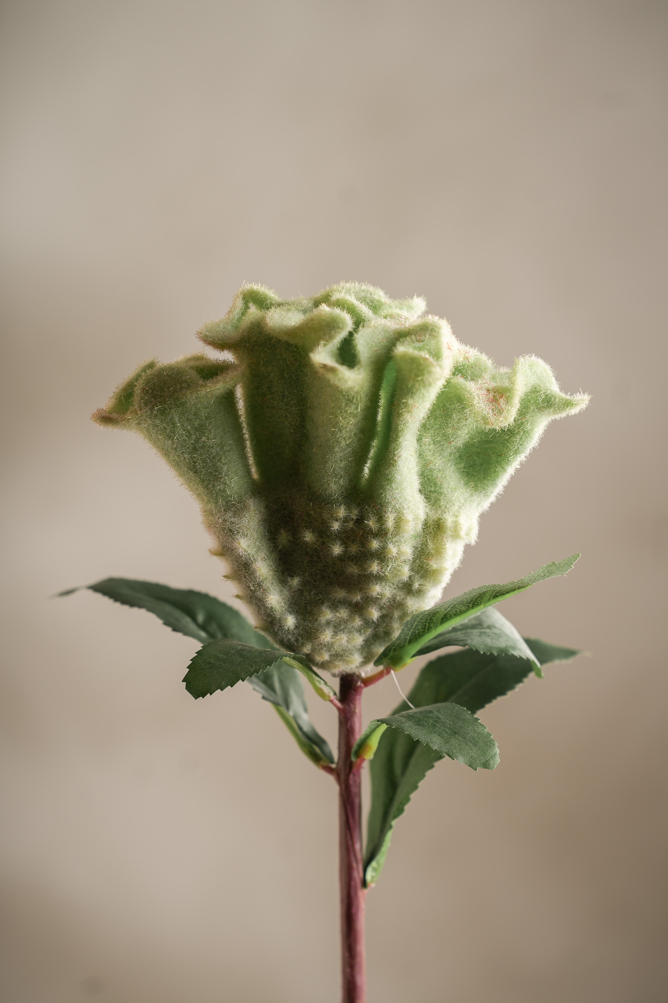 Konstgjord grön Celosia 67cm