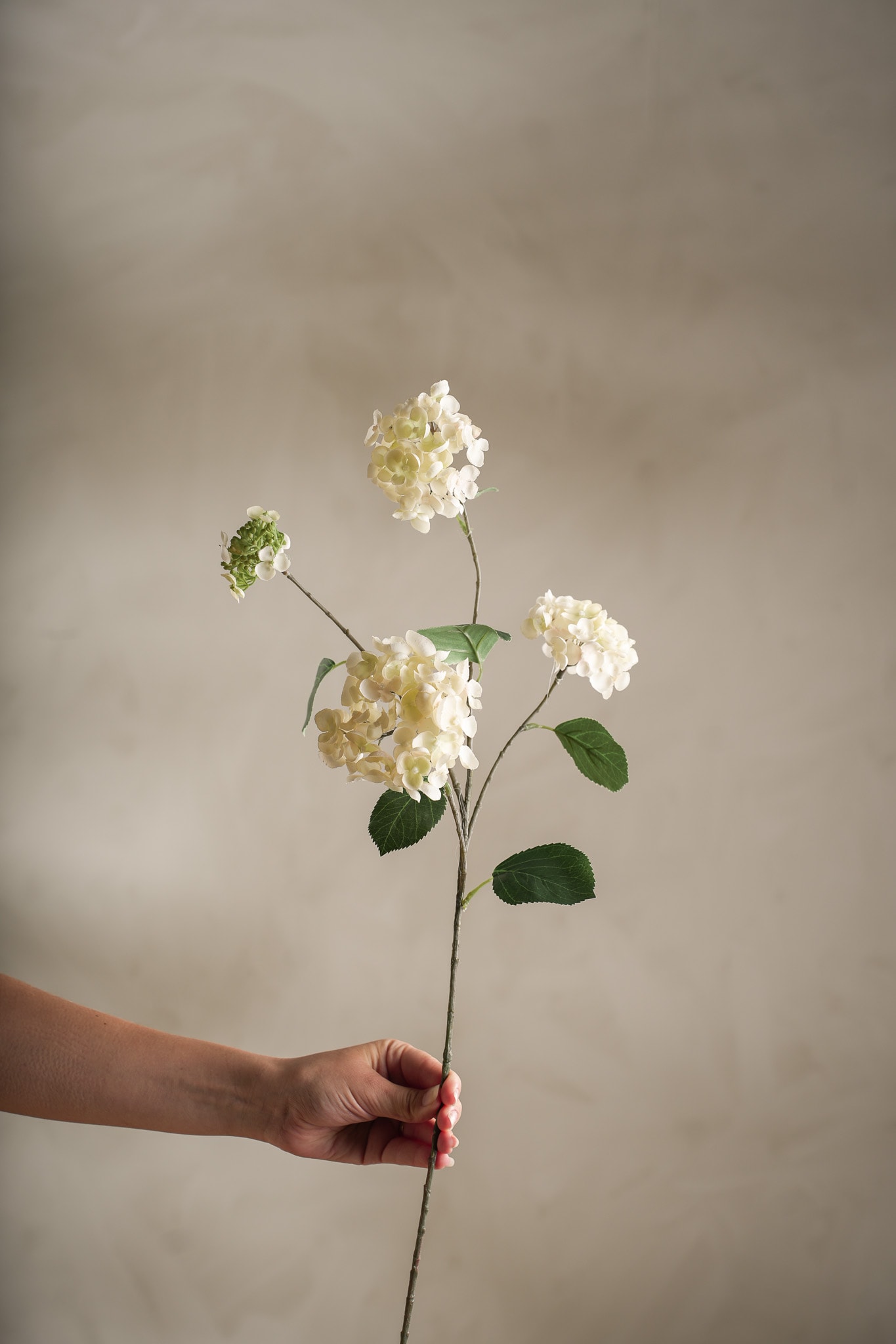 Konstgjord cremefärgad Hortensia 80 cm