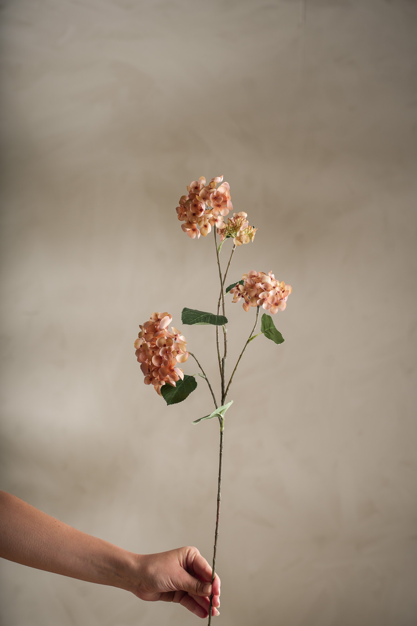 Konstgjord brun Hortensia 80cm