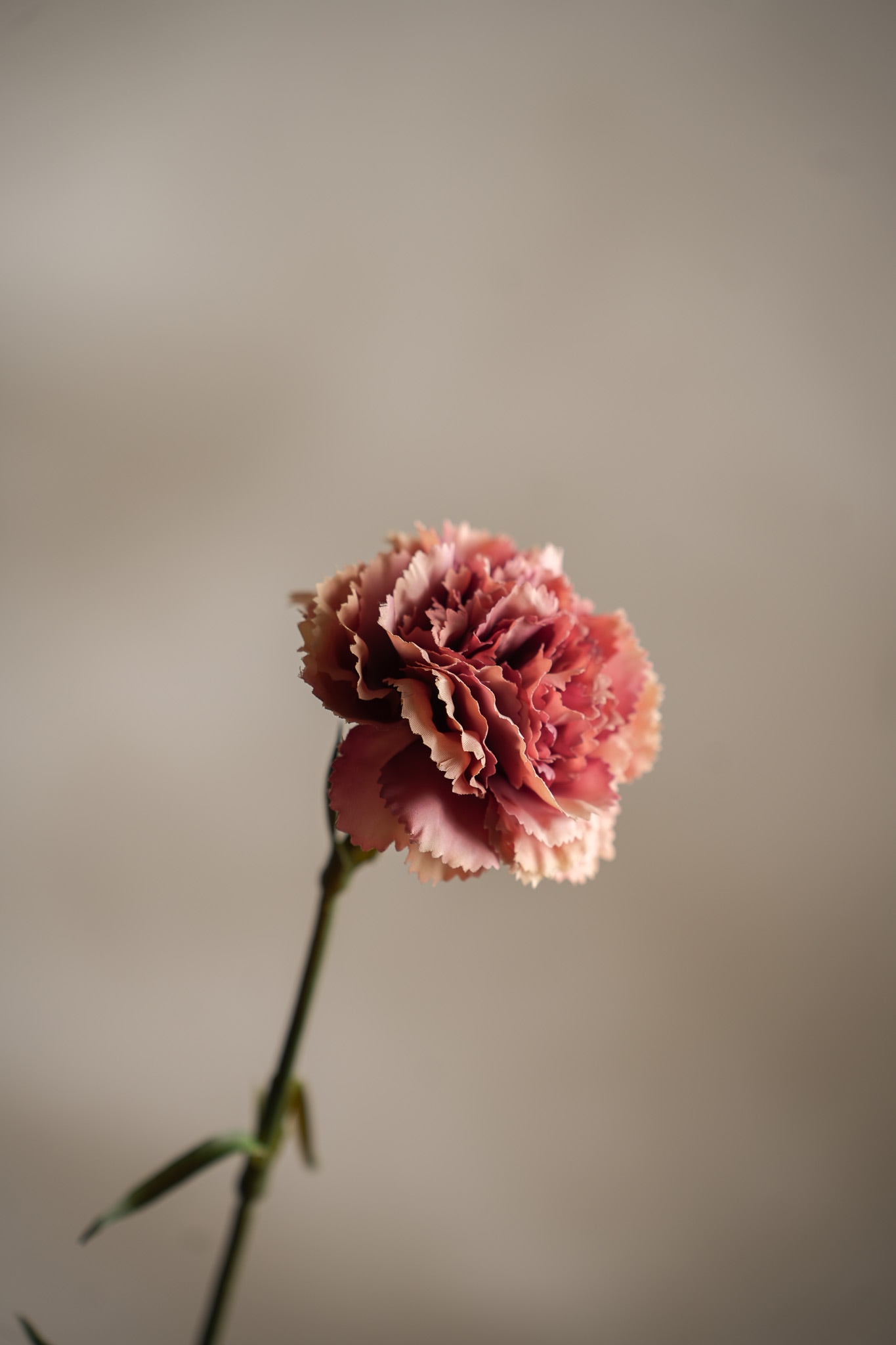 Konstgjord rosa Nejlika 44cm