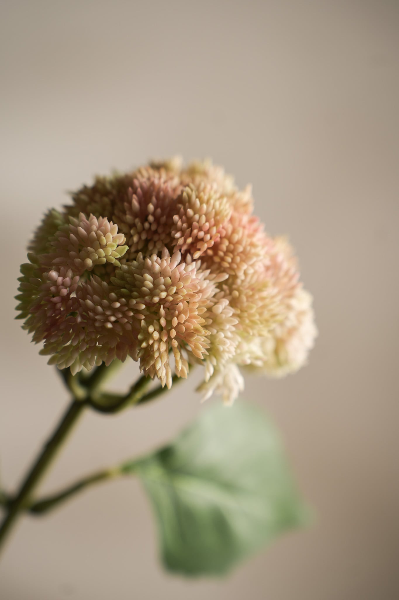 Konstgjord rosa Sedum 37cm