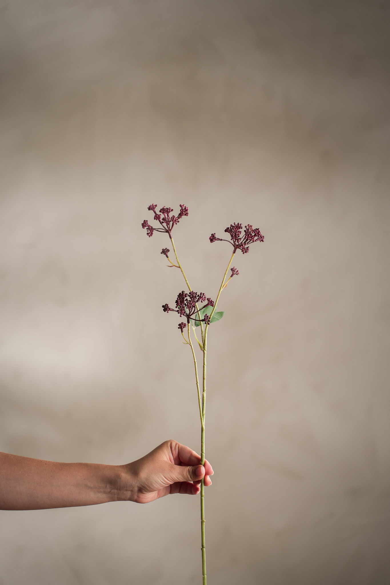 Konstgjord burgundy Angelica 58cm