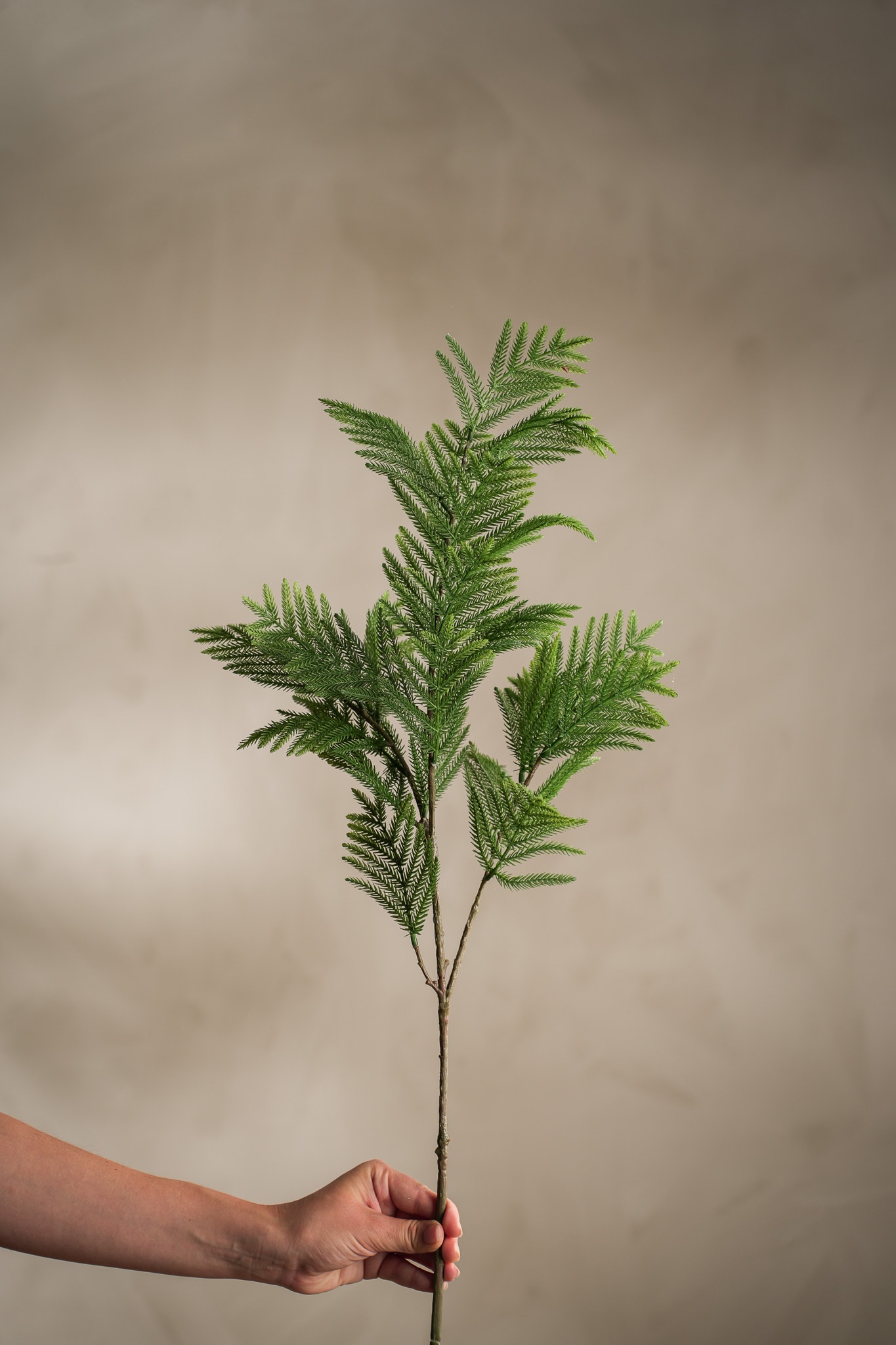 Konstgjord grön Mimosa 85cm