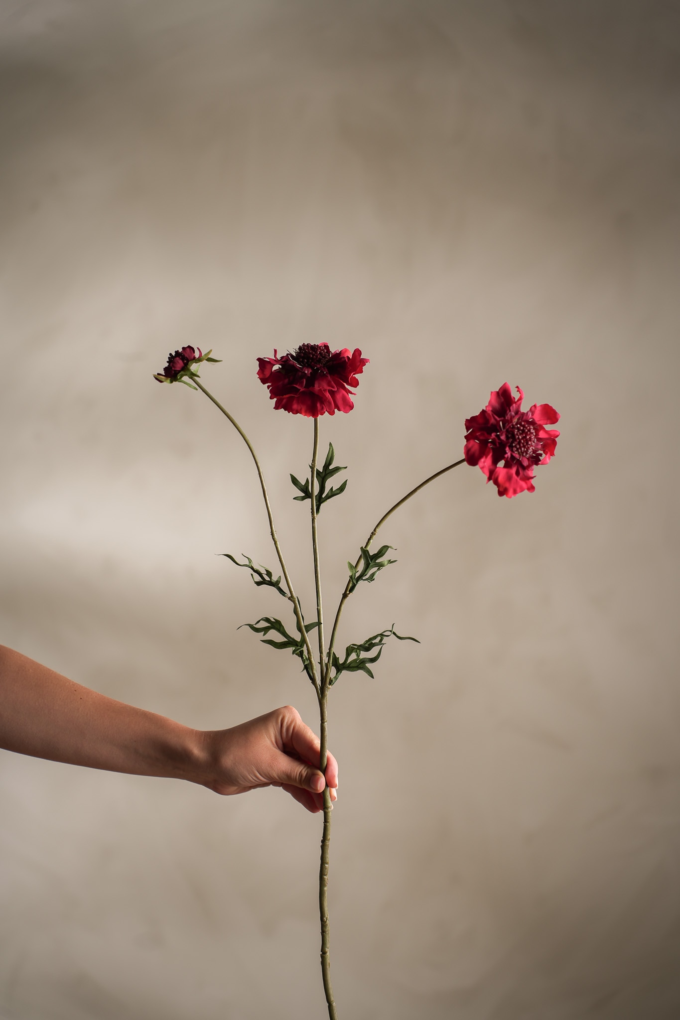 Konstgjord röd Scabiosa 65cm