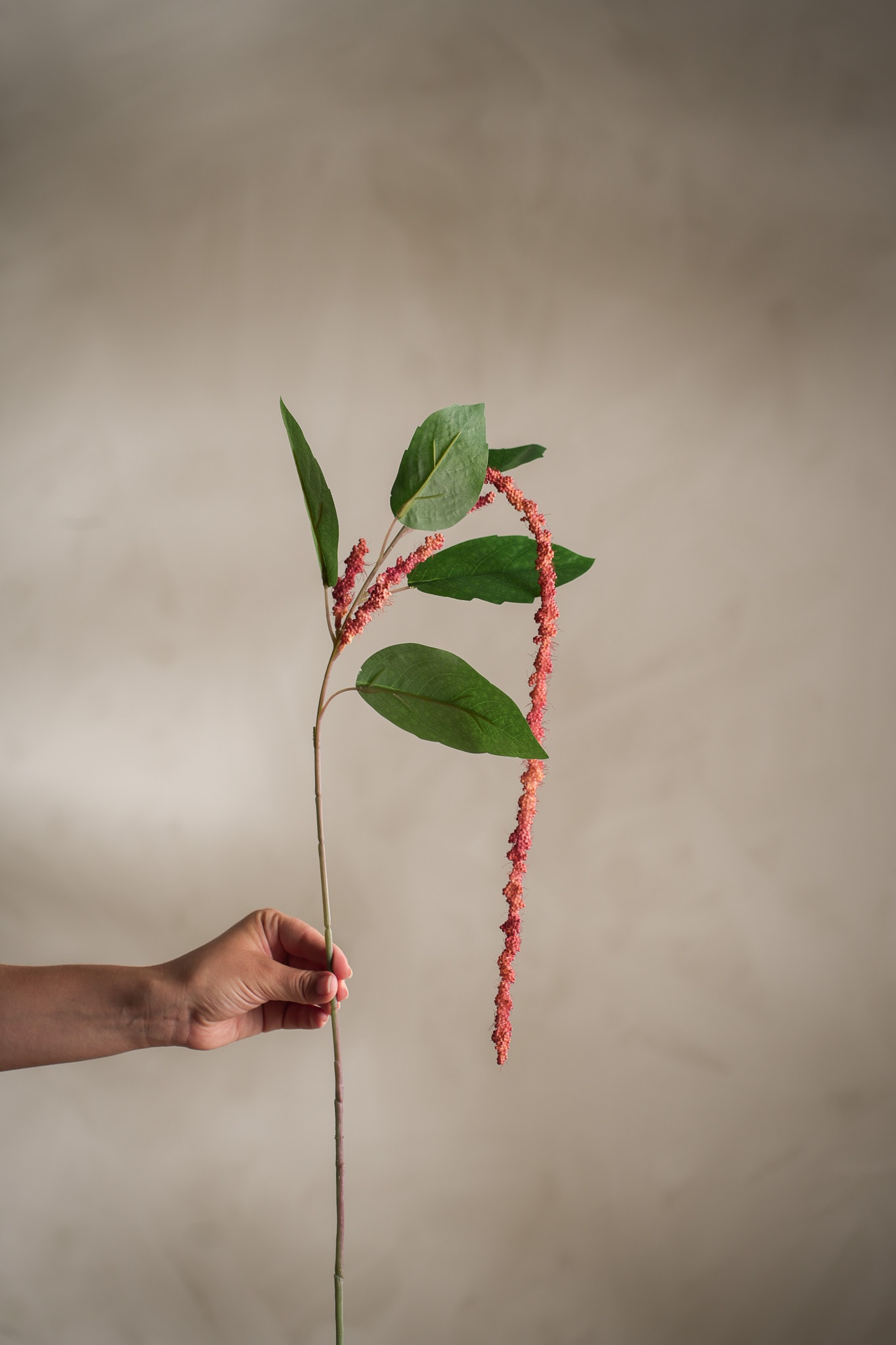 Konstgjord korall Amaranthus 70cm