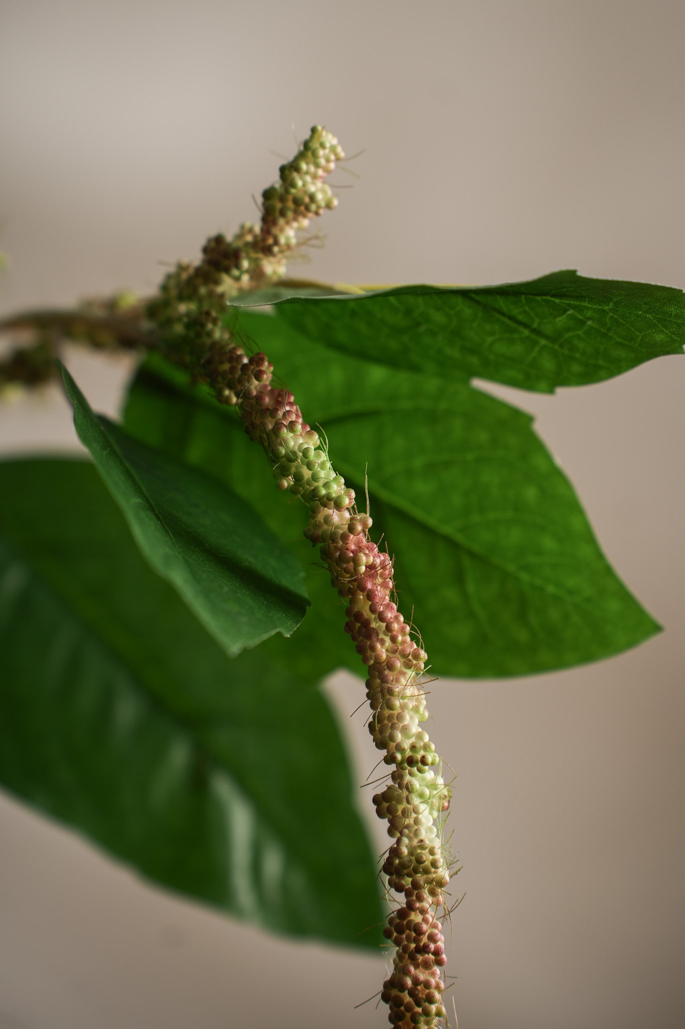 Konstgjord grön Amaranthus 70cm