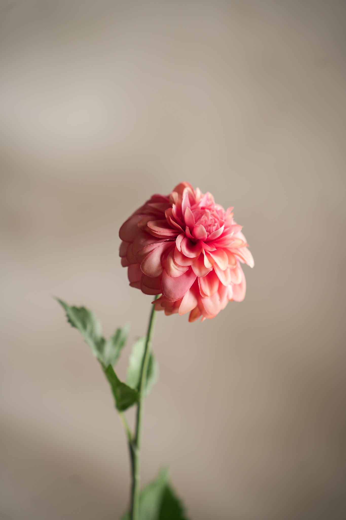 Konstgjord rosa Dahlia 60cm