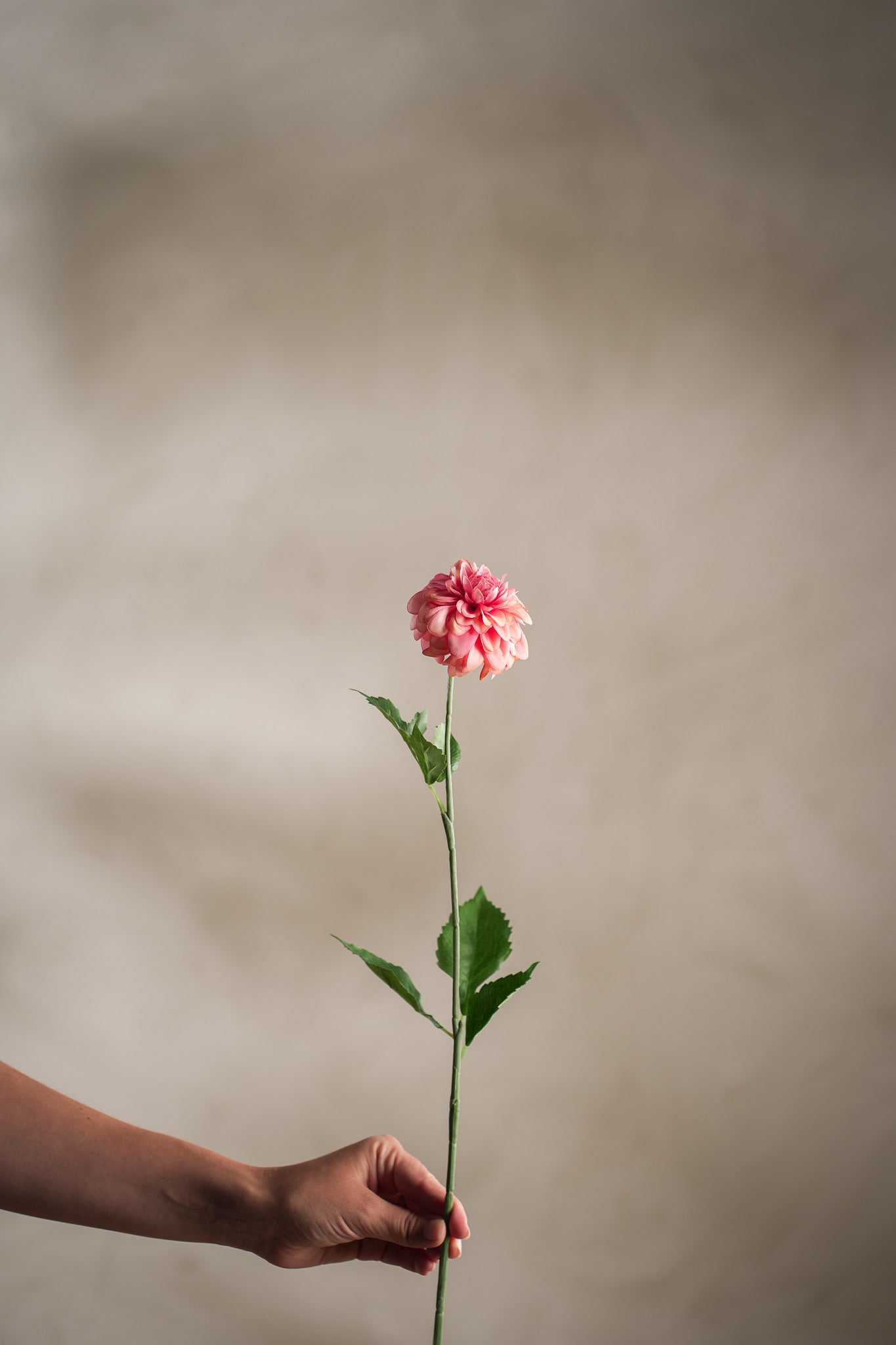 Konstgjord rosa Dahlia 60cm