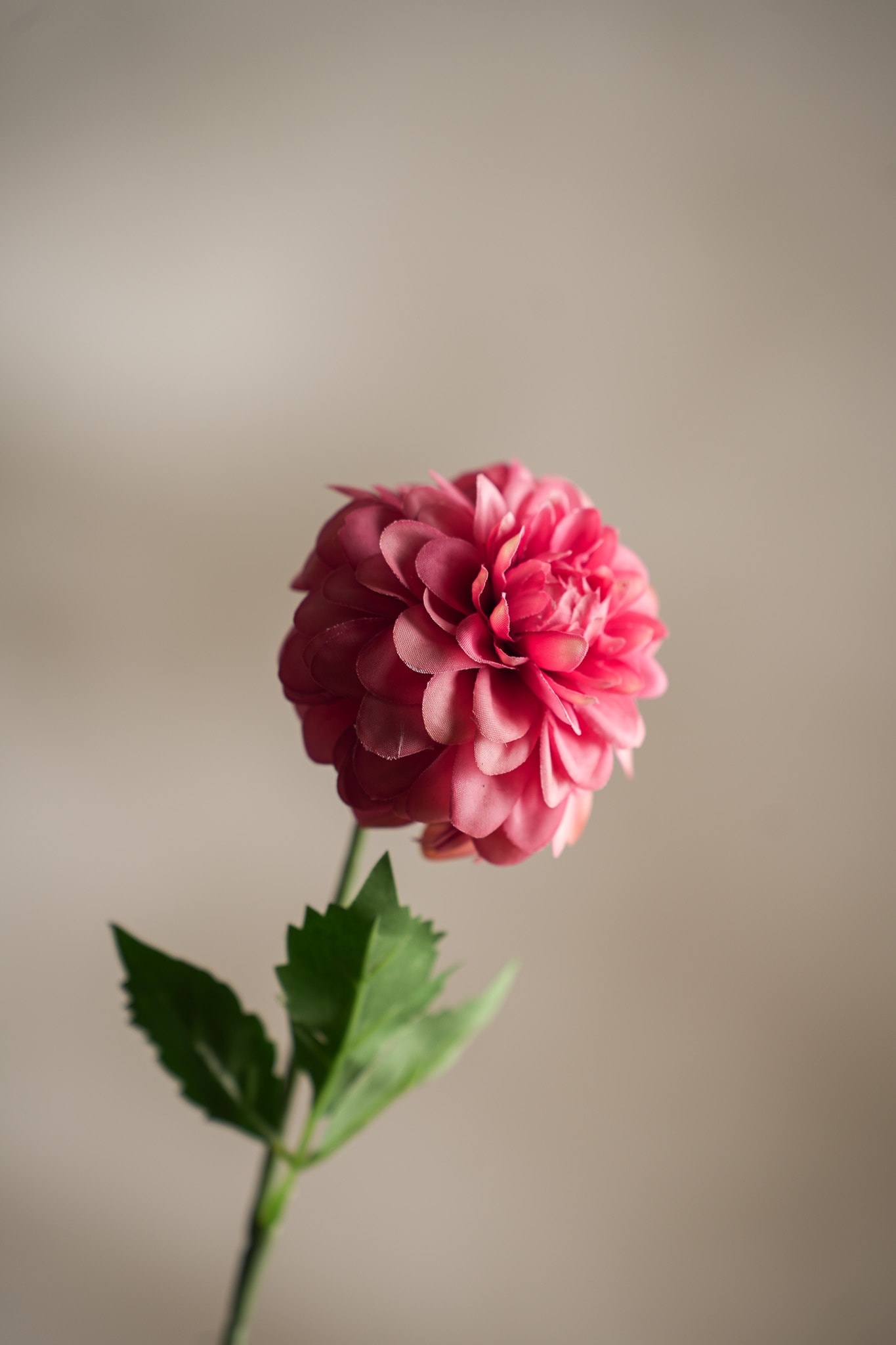 Konstgjord persika Dahlia 60cm