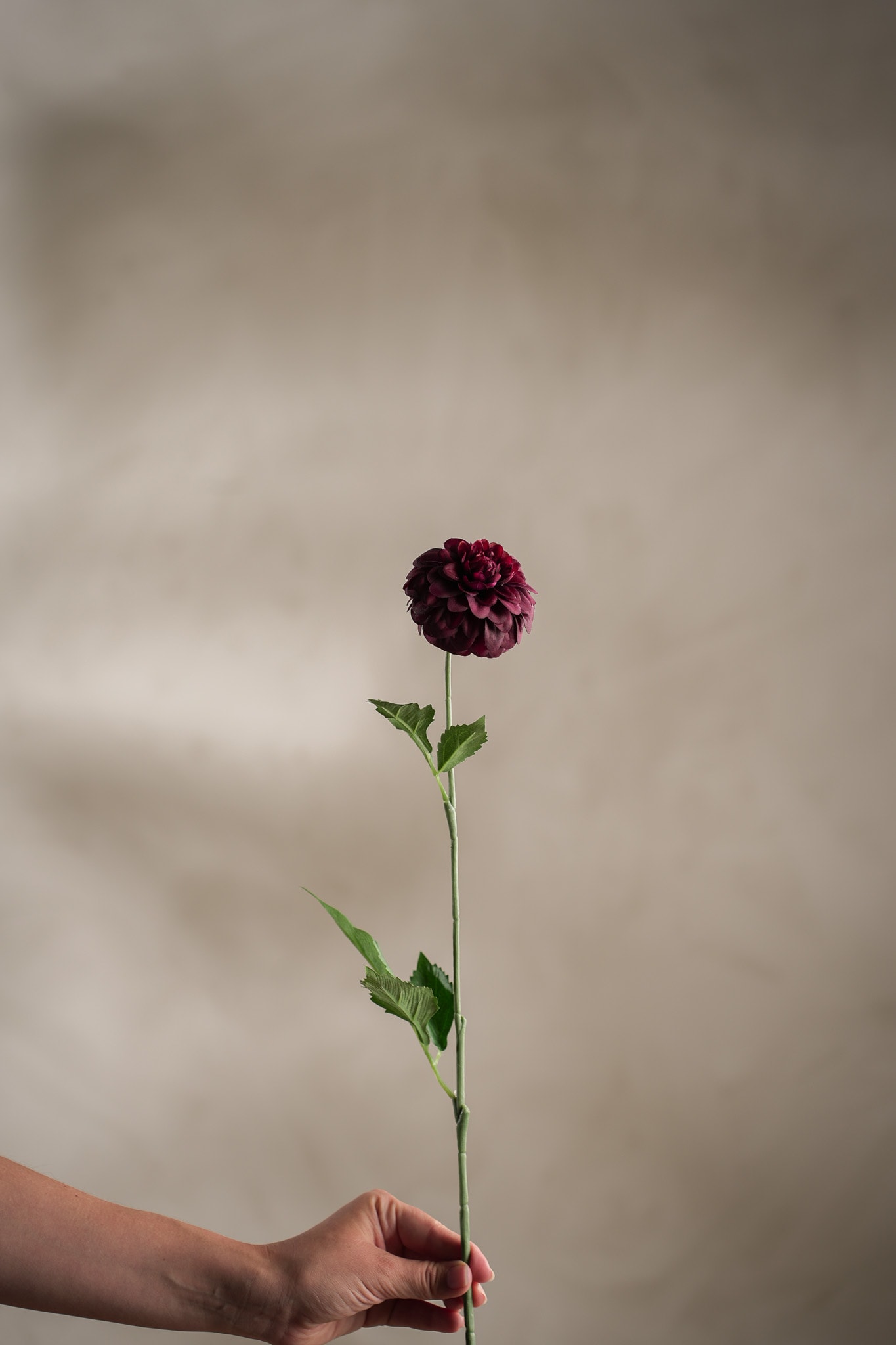 Konstgjord burgundy Dahlia 60cm