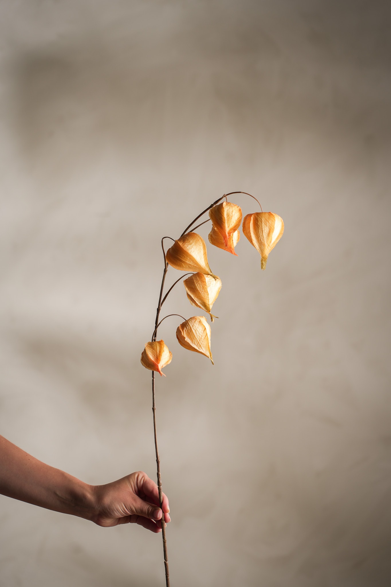Konstgjord gul Physalis 95cm