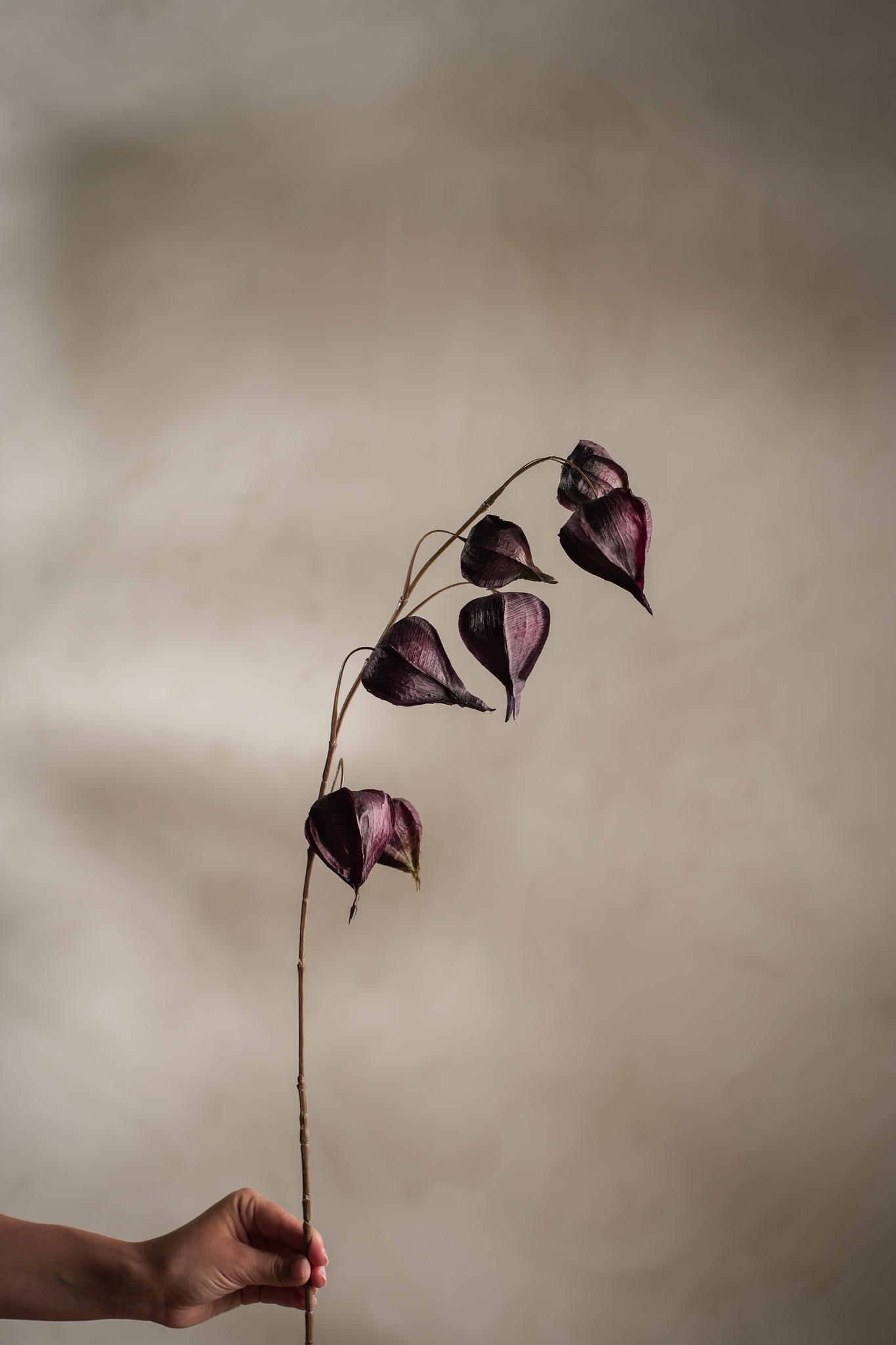 Konstgjord burgundy Physalis 95cm