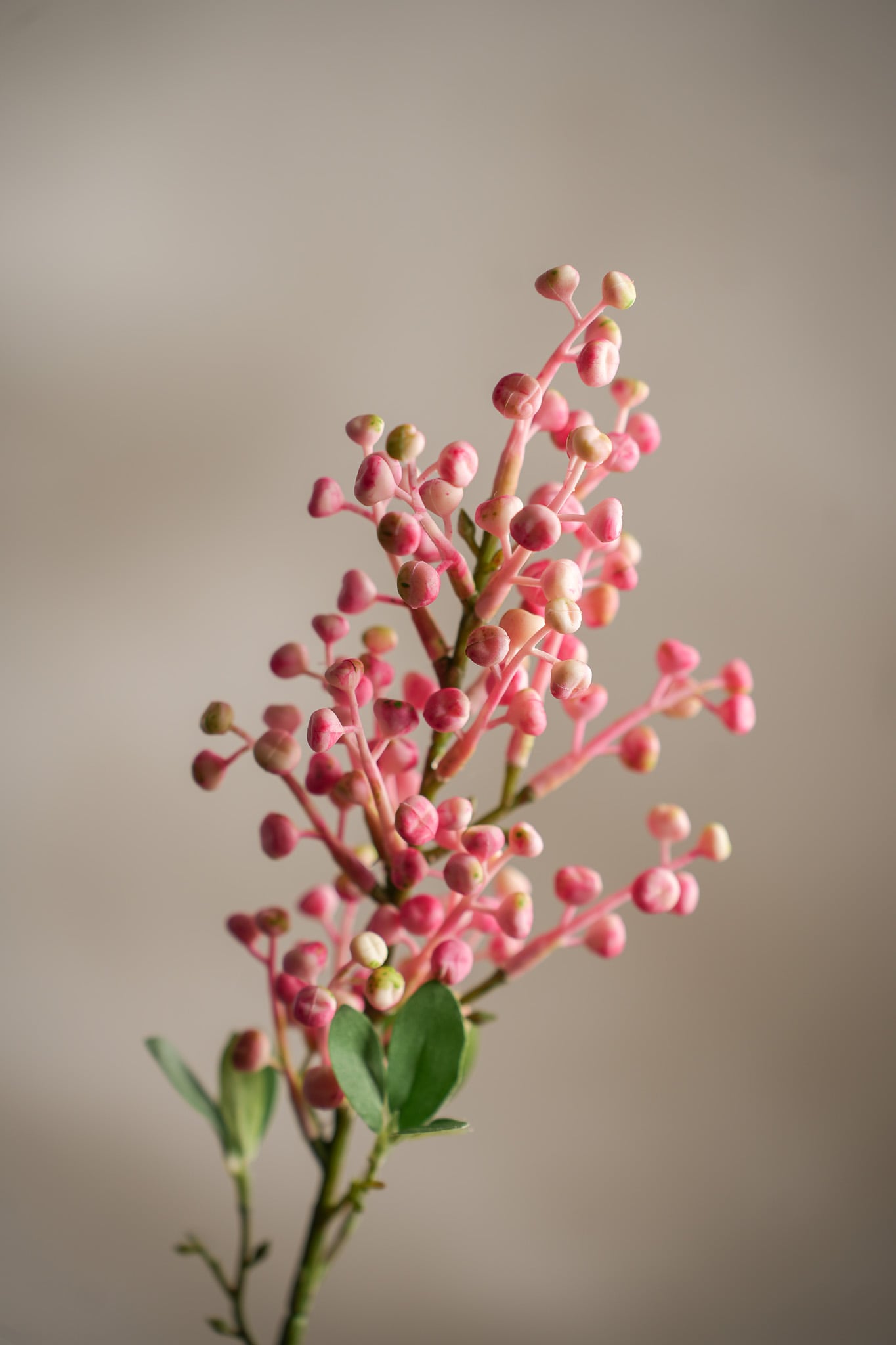 Konstgjord rosa Bärkvist 54cm