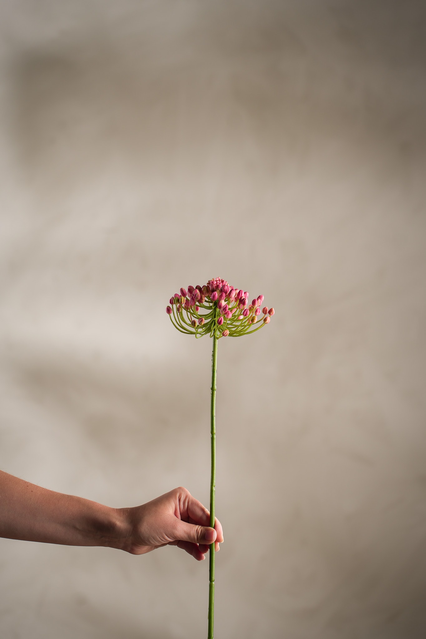 Konstgjord rosa Bärkvist 63cm