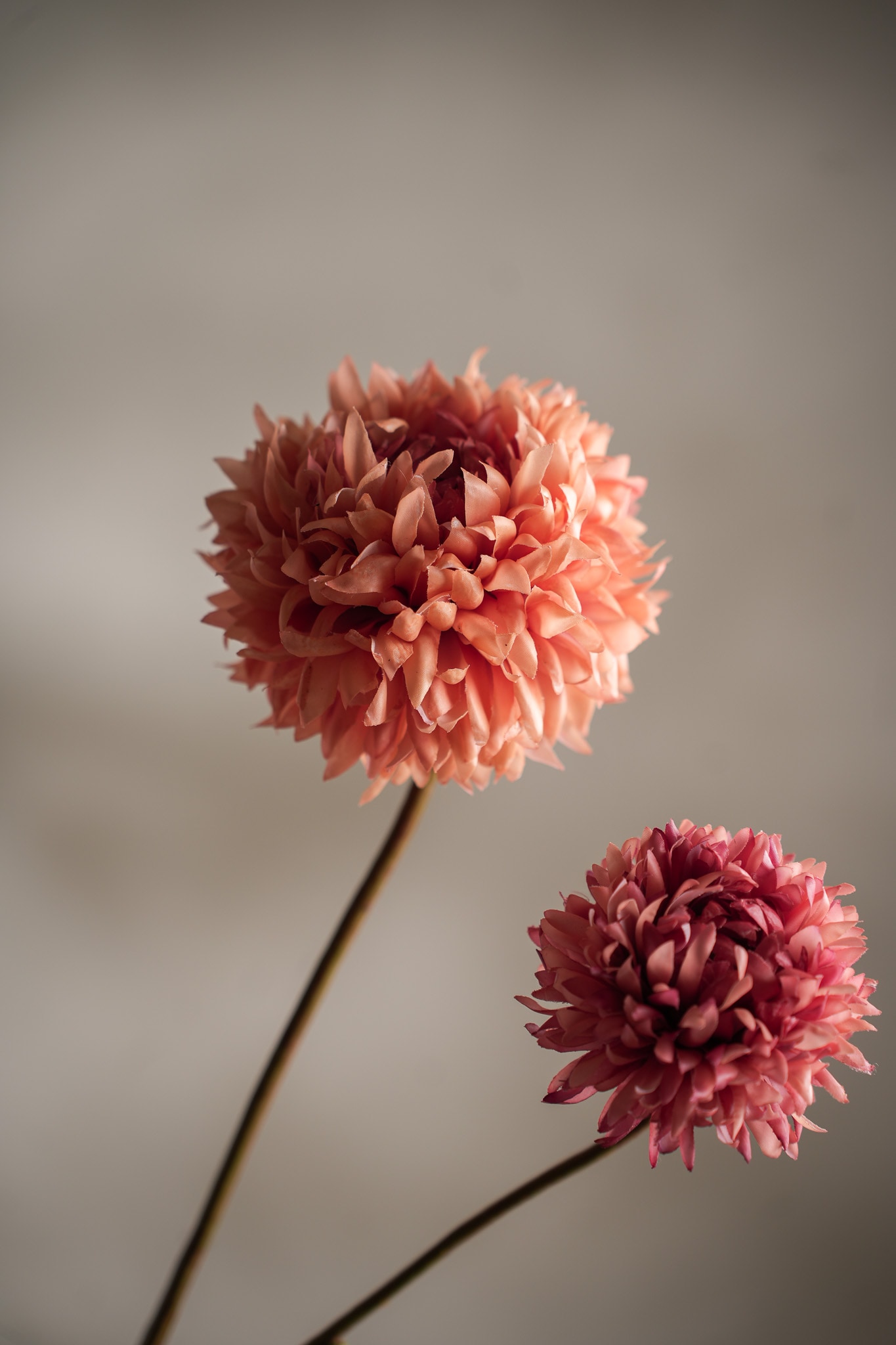 Konstgjord persika Chrysanthemum 65cm