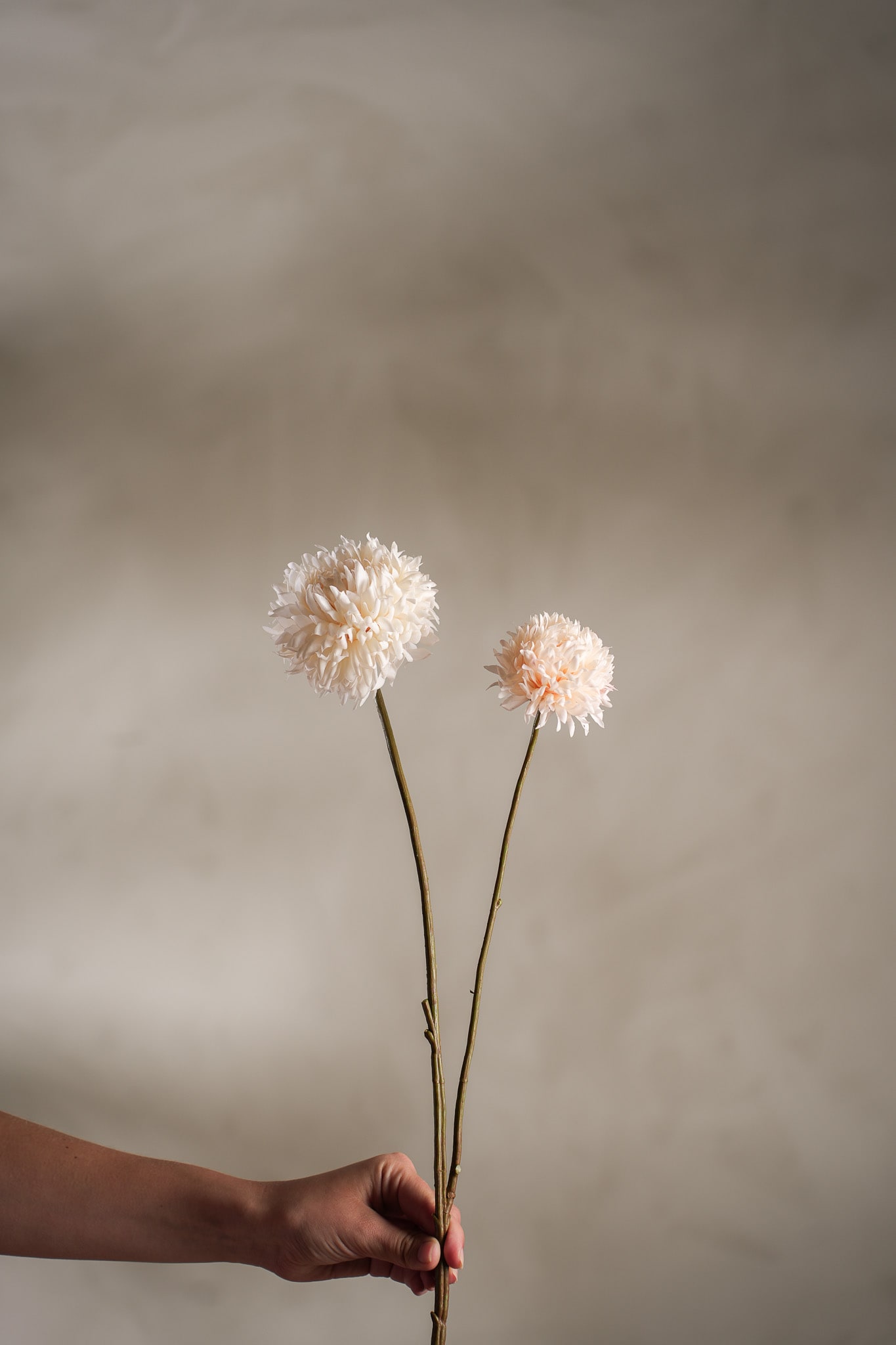 Konstgjord cream Chrysanthemum 65cm